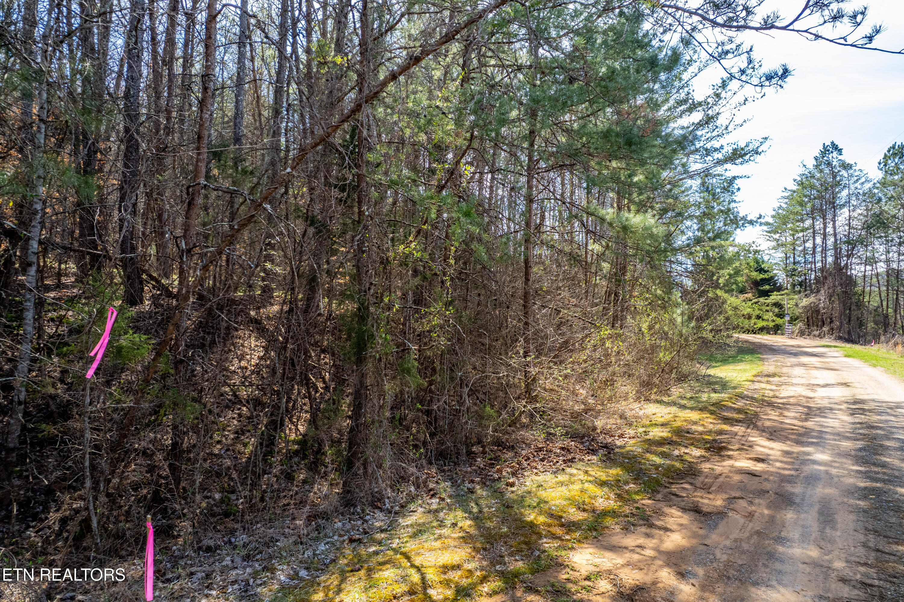 Welch Road Lot 4a Tellico Plains TN 37385