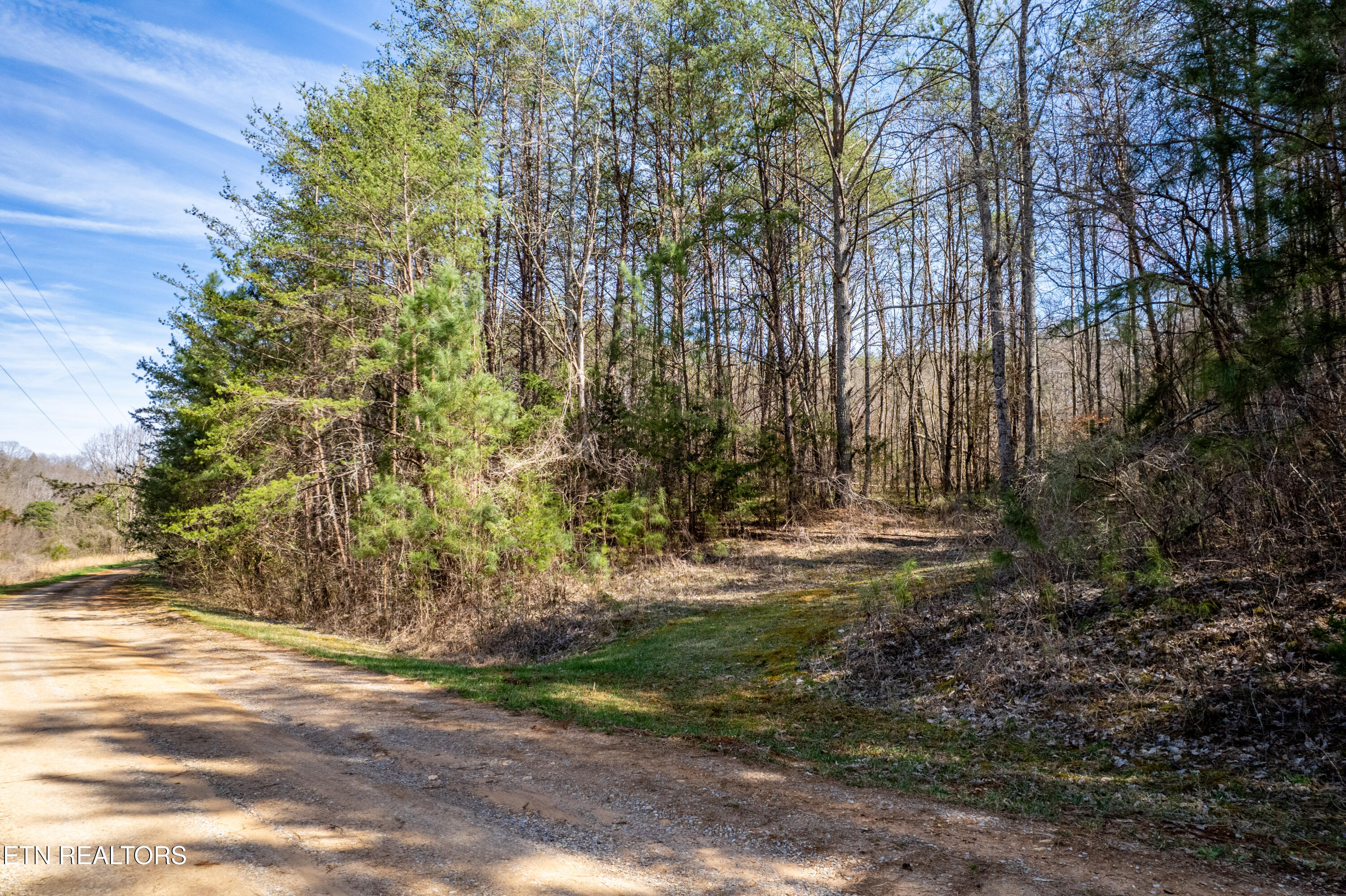 Welch Road Lot 4a Tellico Plains TN 37385