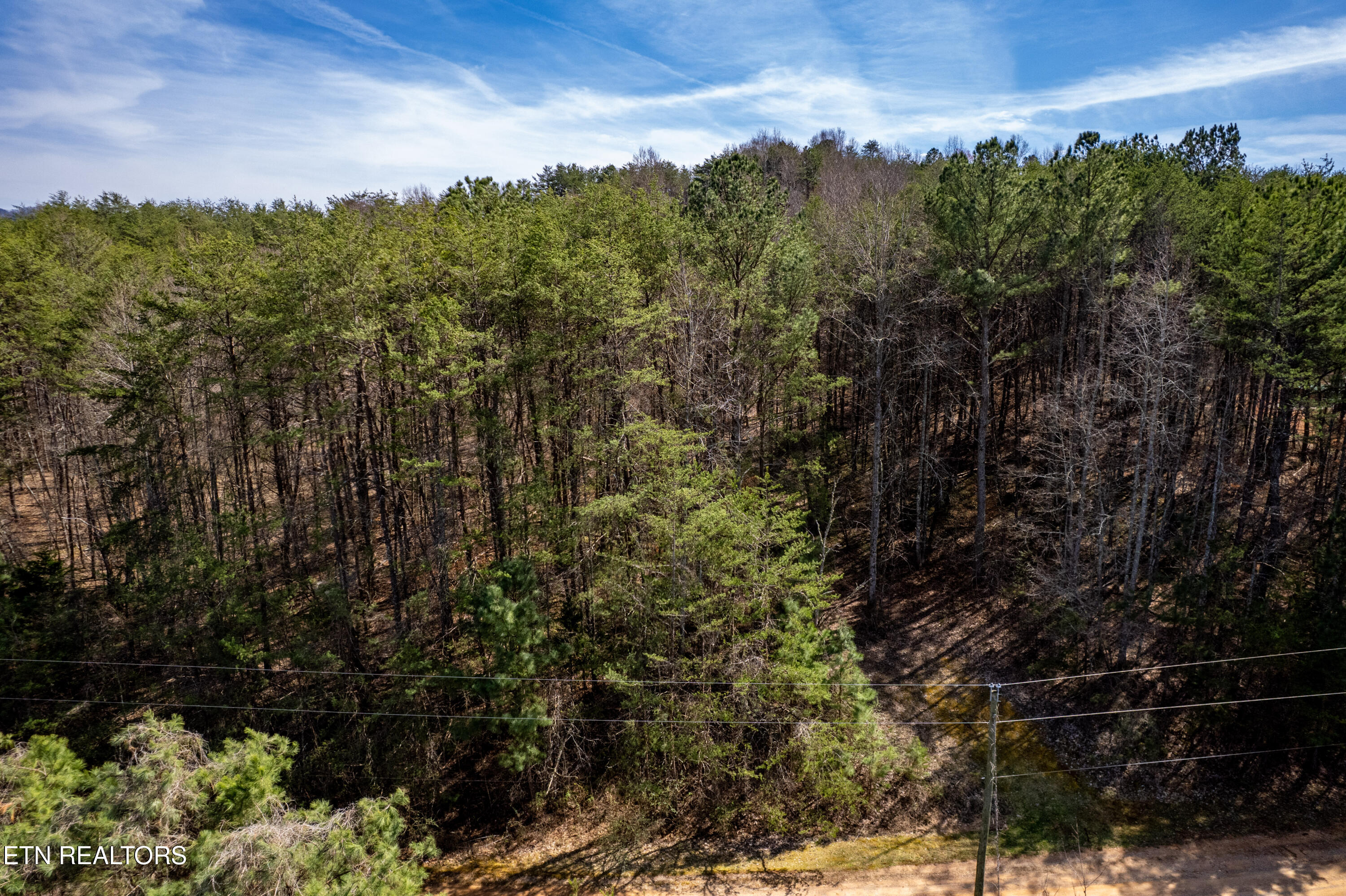 Welch Road Lot 4a Tellico Plains TN 37385