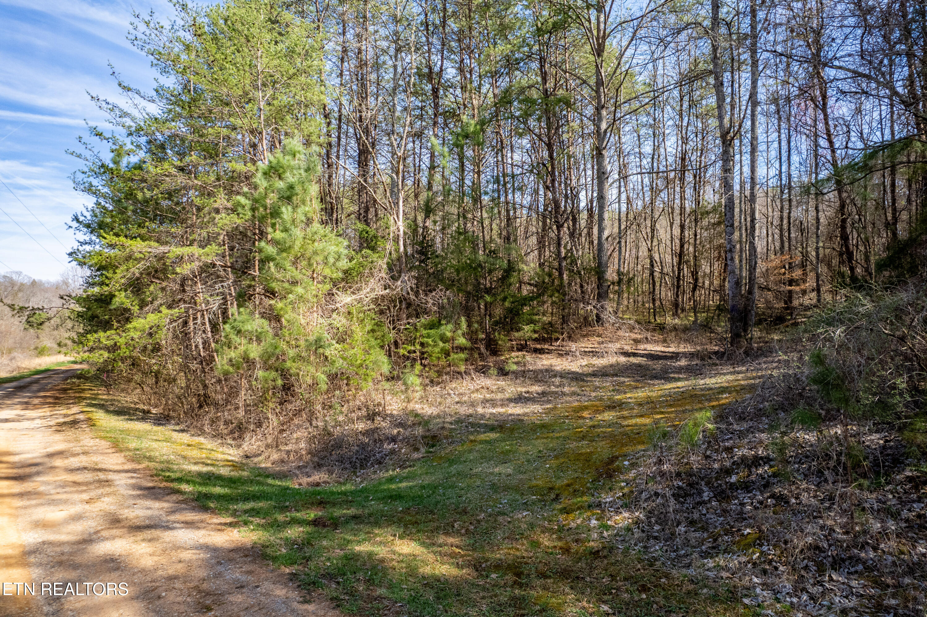 Welch Road Lot 4a Tellico Plains TN 37385