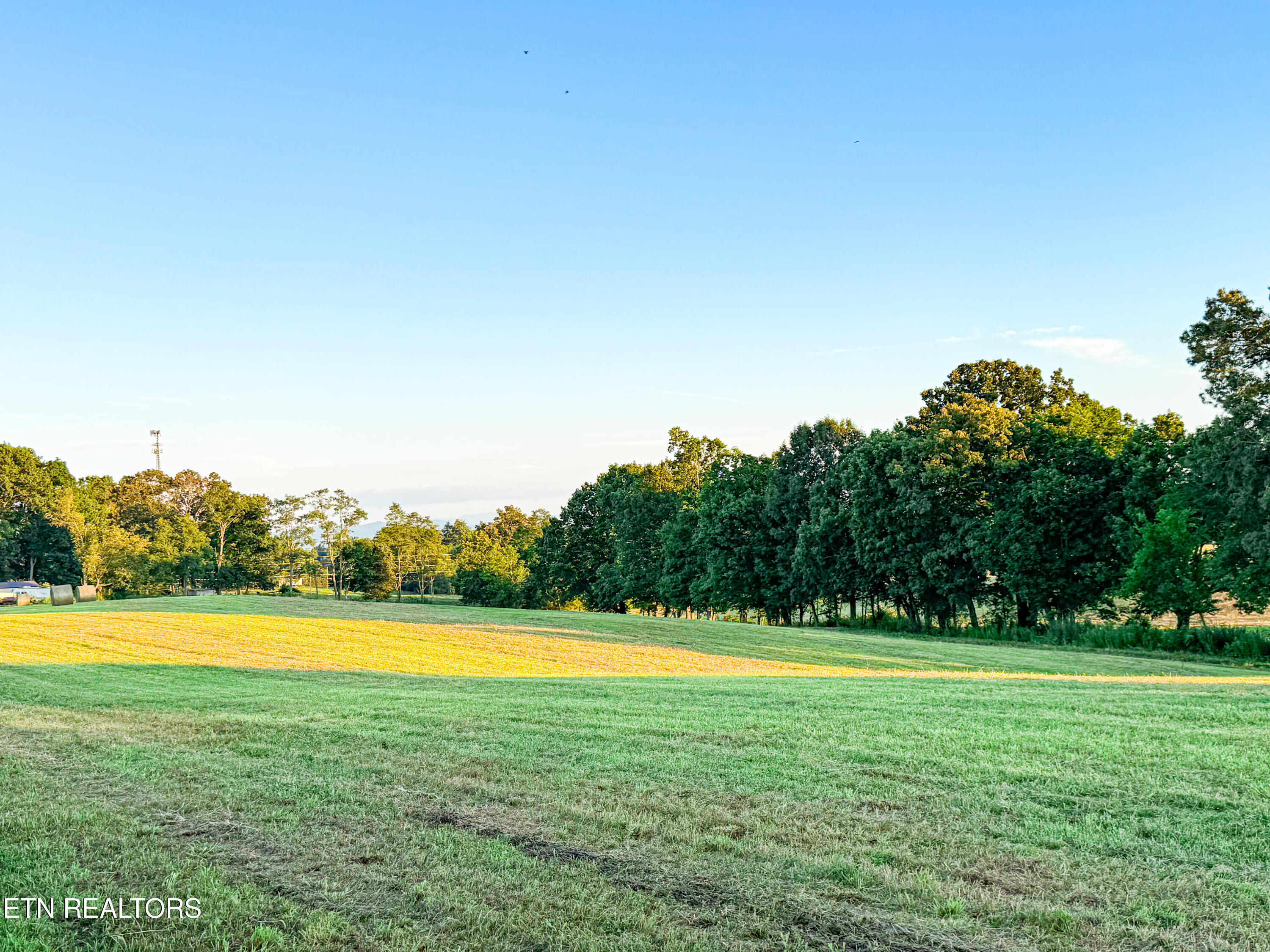 Lot 6 Talbott Kansas Road Talbott TN 37877