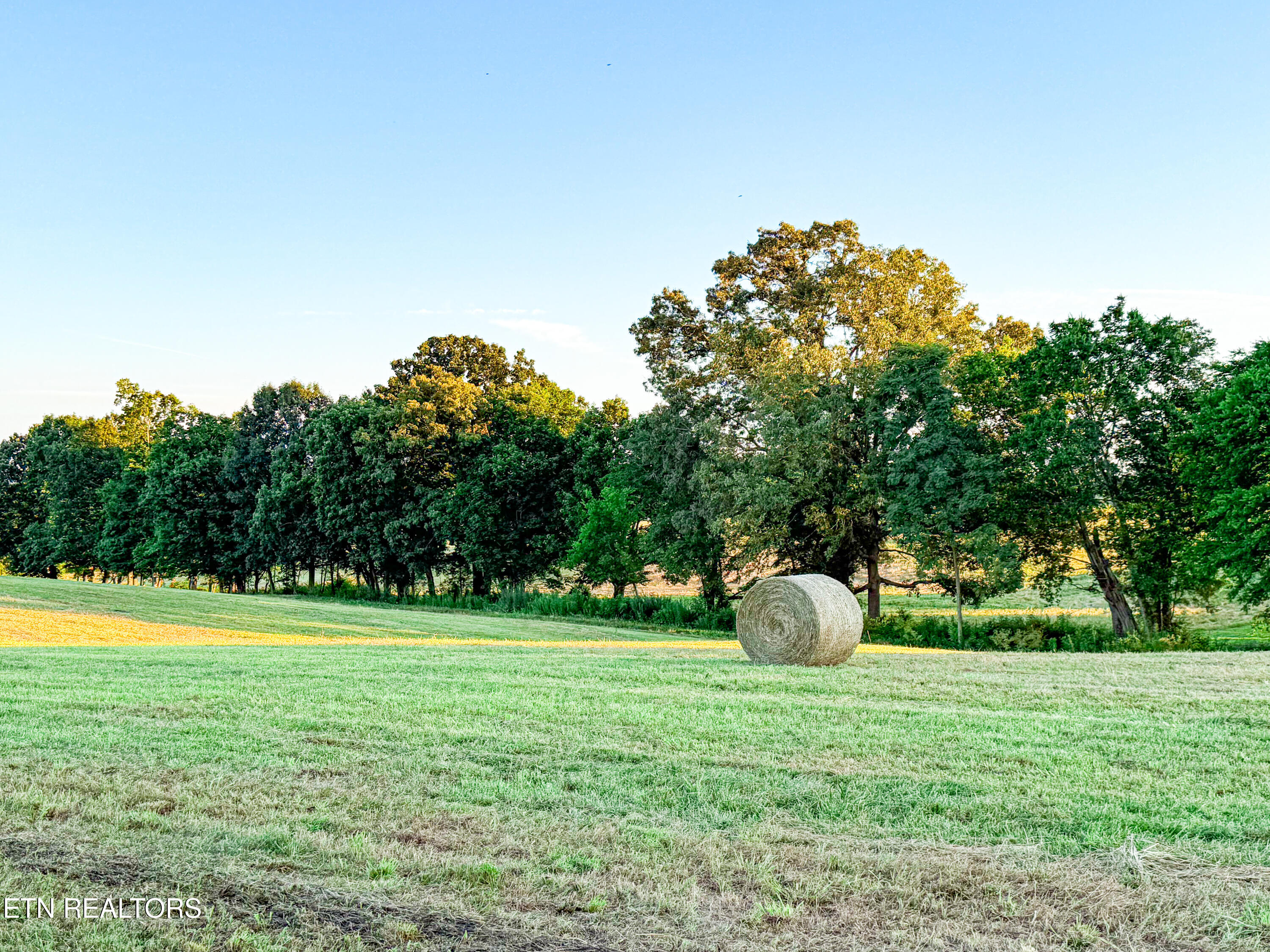 Lot 6 Talbott Kansas Road Talbott TN 37877