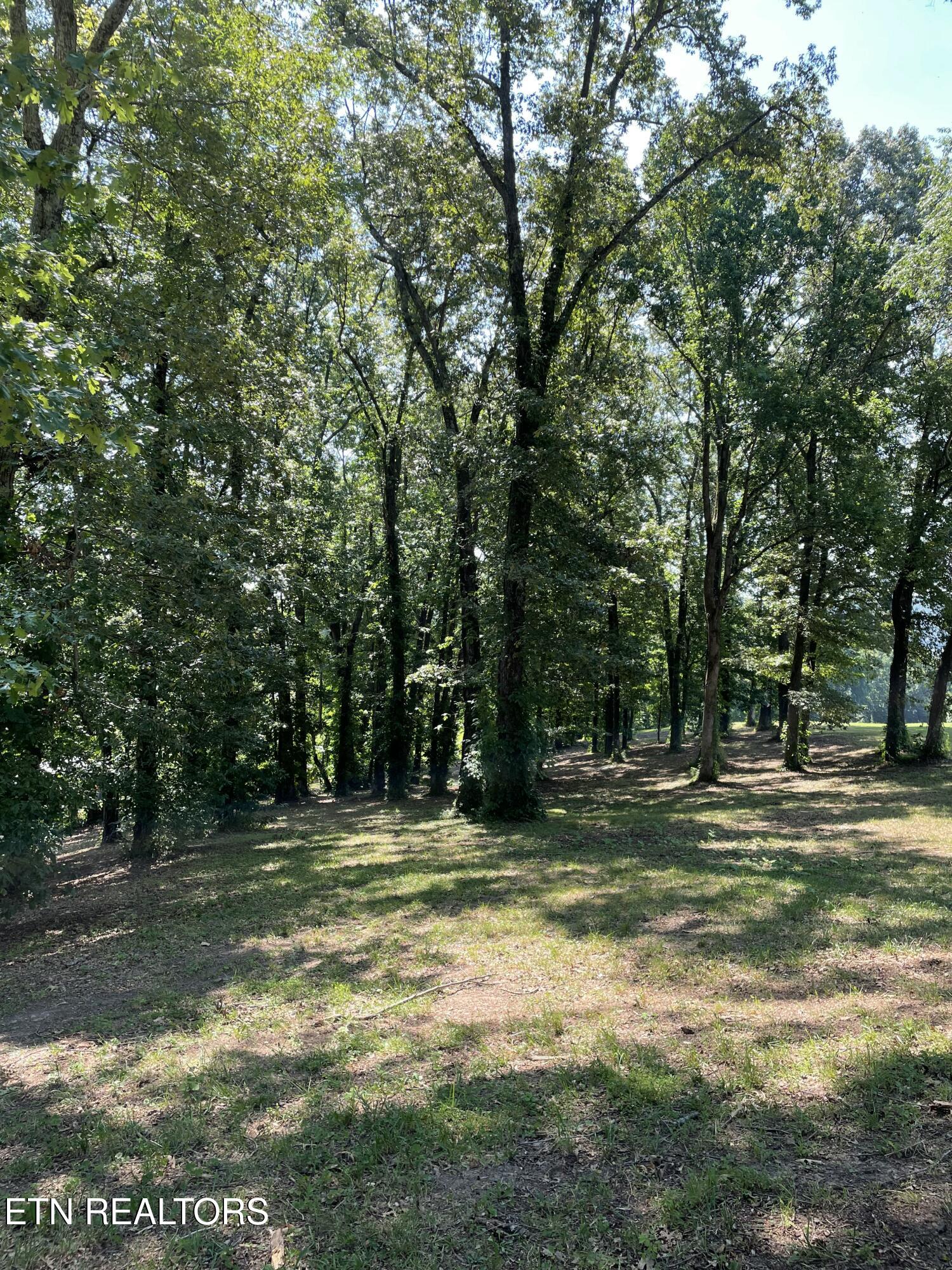 141 Twin Church Road Bean Station TN 37708
