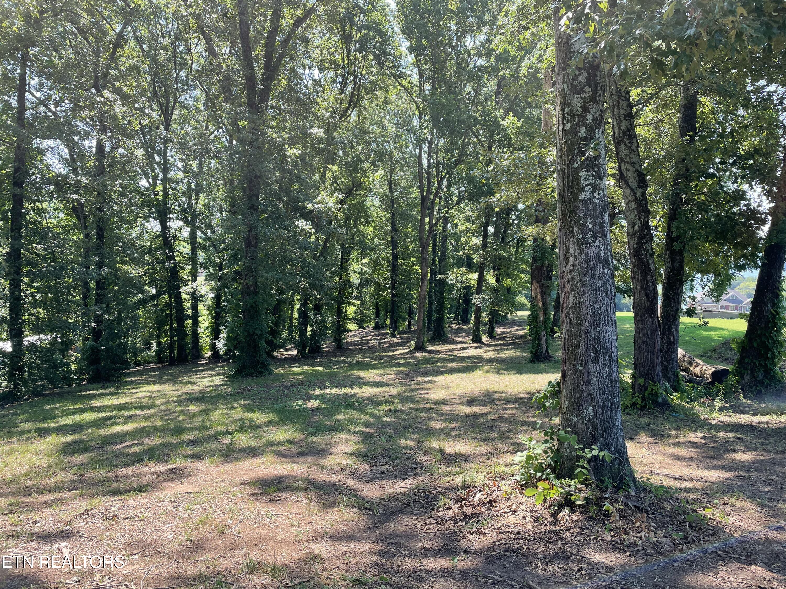 141 Twin Church Road Bean Station TN 37708