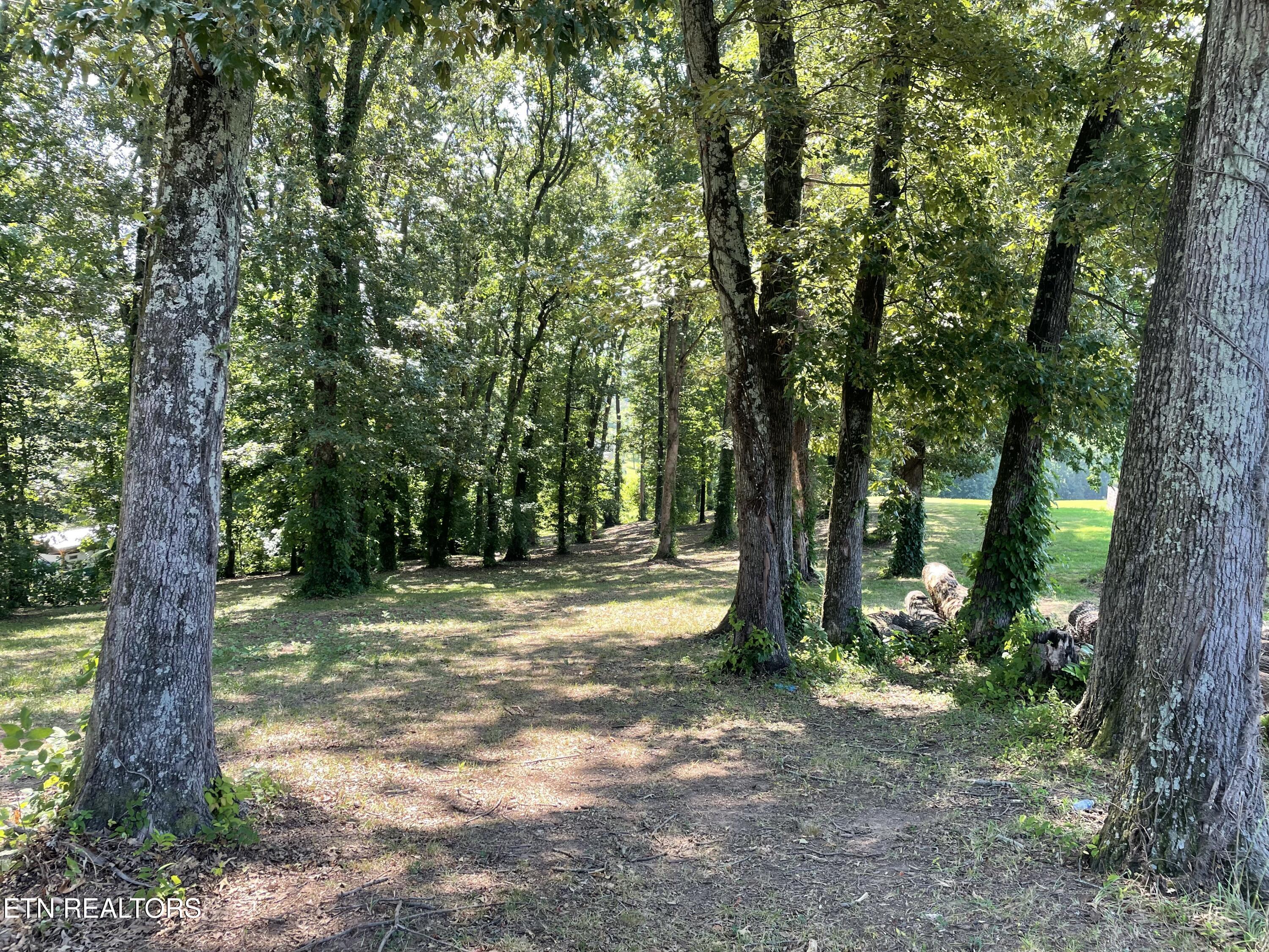 141 Twin Church Road Bean Station TN 37708