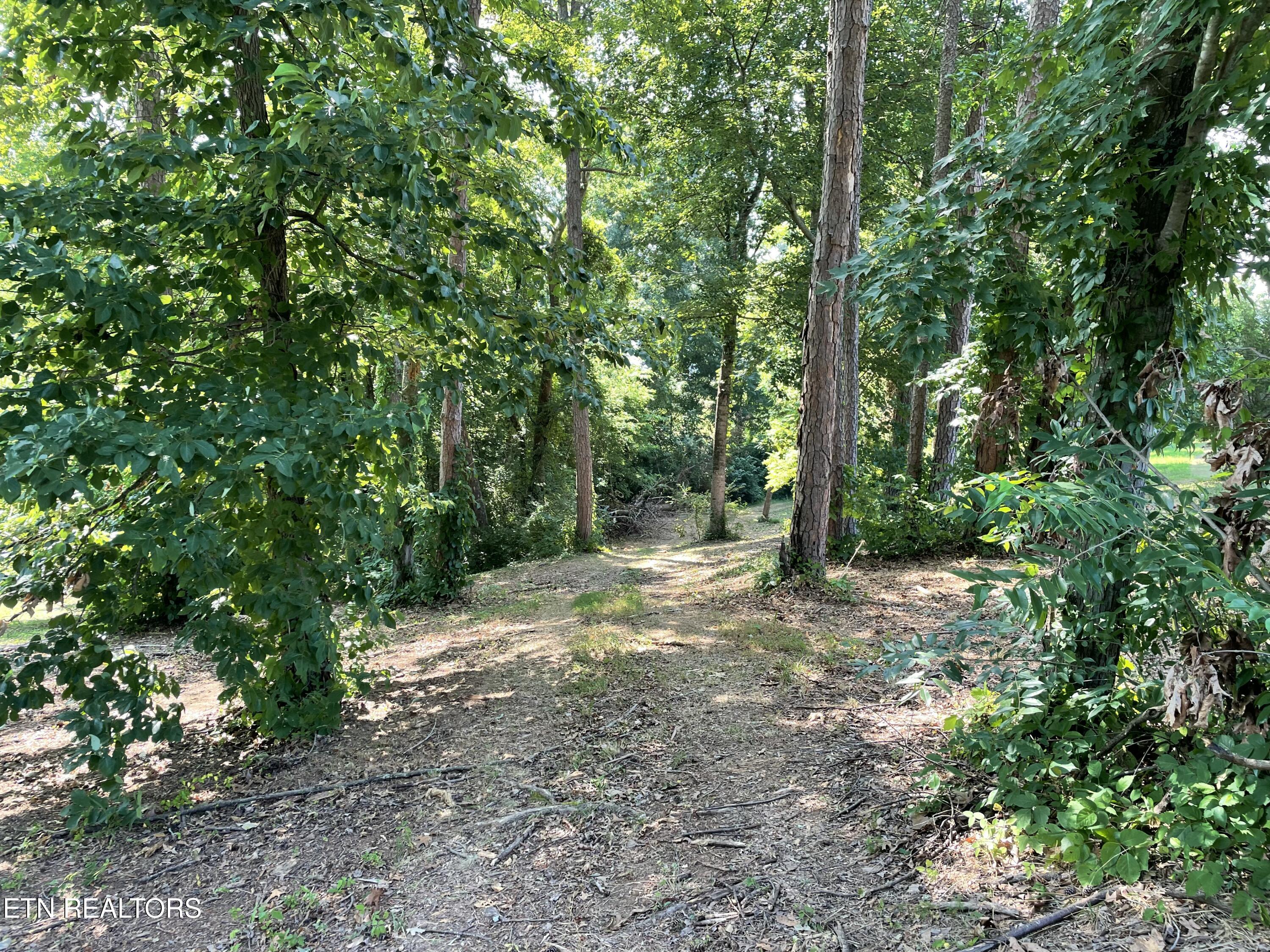 141 Twin Church Road Bean Station TN 37708