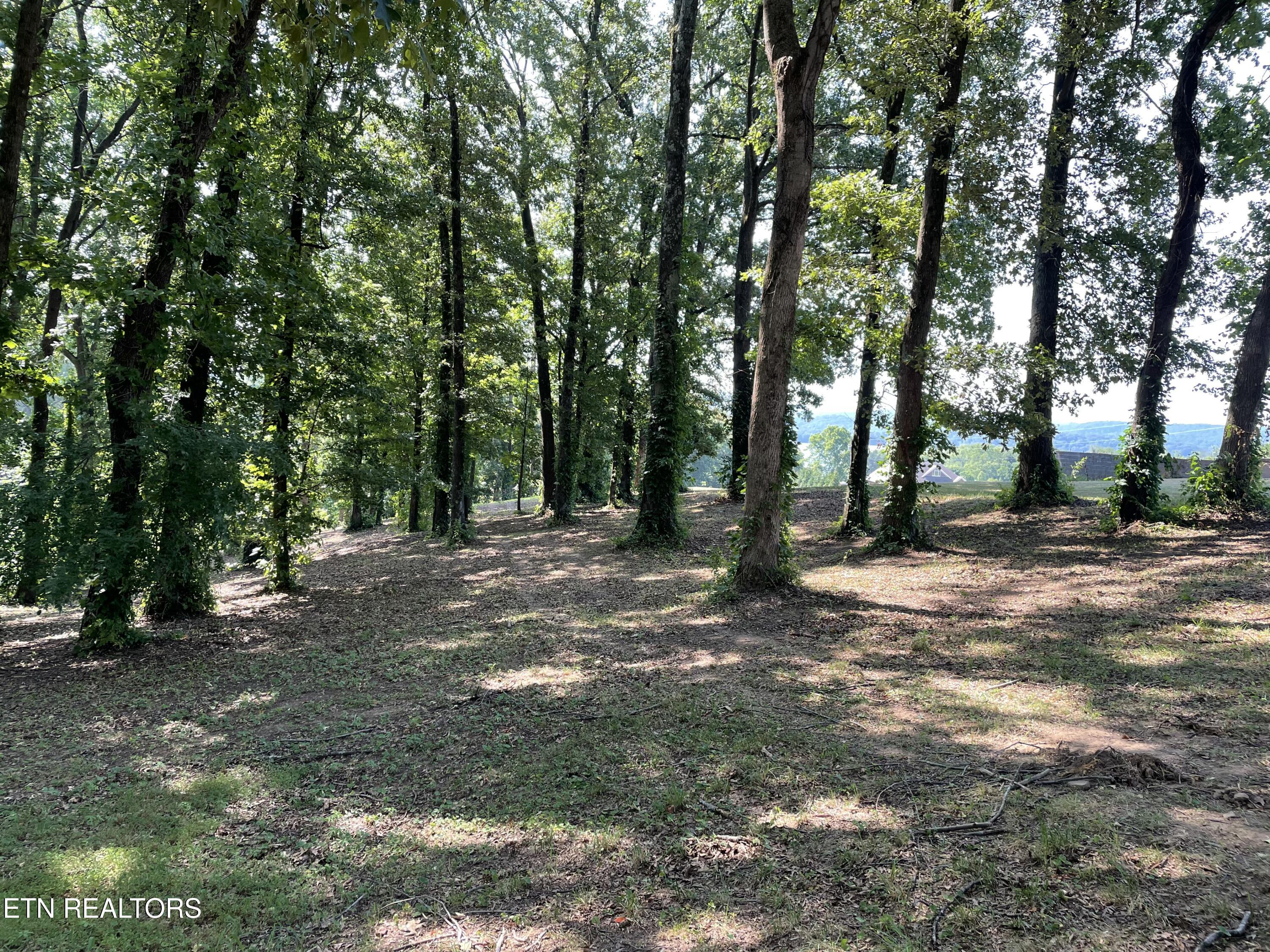 141 Twin Church Road Bean Station TN 37708