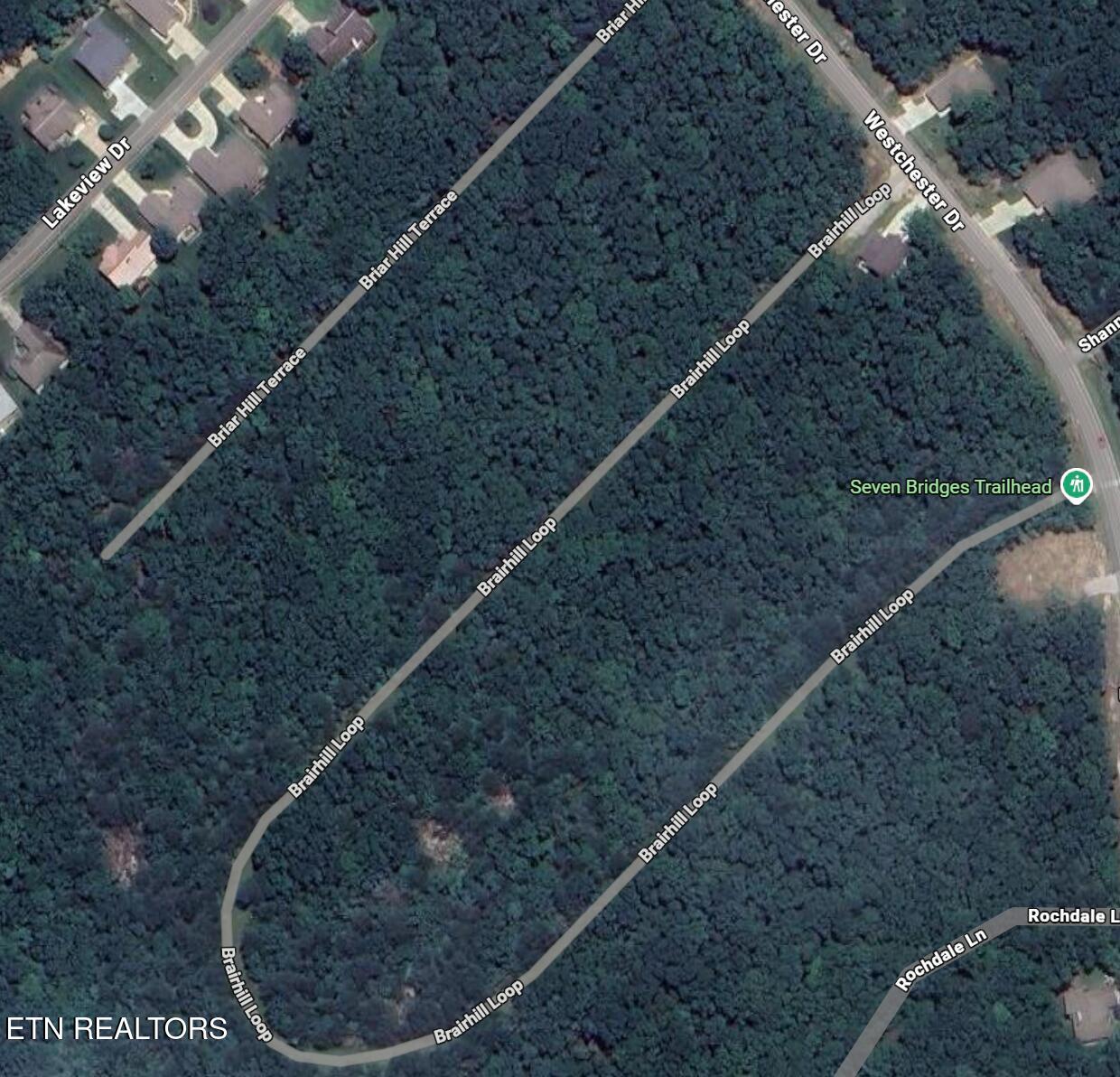 119 Briarhill Loop Crossville TN 38558