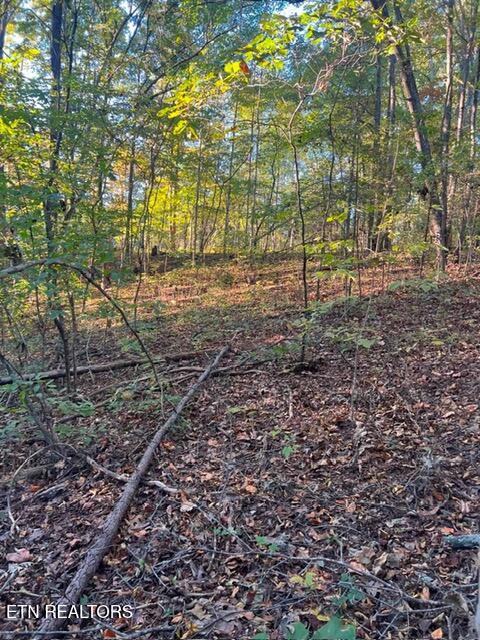 196 Woodstock Drive Rutledge TN 37861