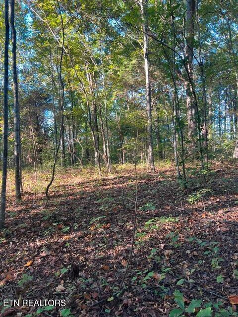 196 Woodstock Drive Rutledge TN 37861