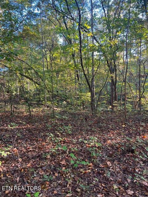 196 Woodstock Drive Rutledge TN 37861