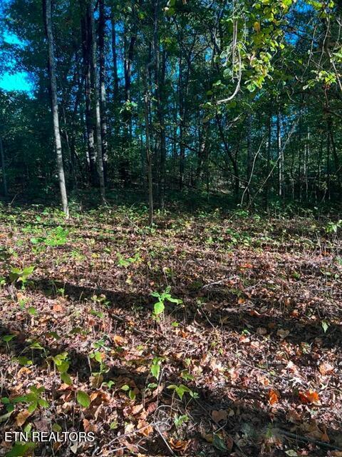 196 Woodstock Drive Rutledge TN 37861