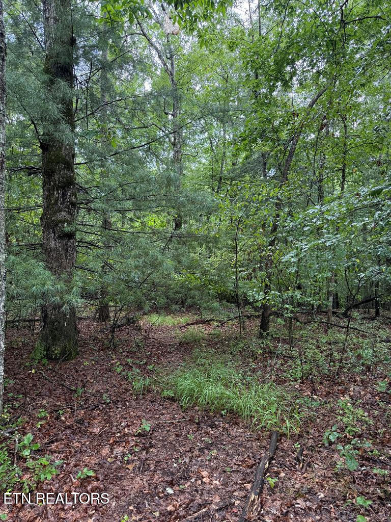 929 Kemah Lane Crossville TN 38572