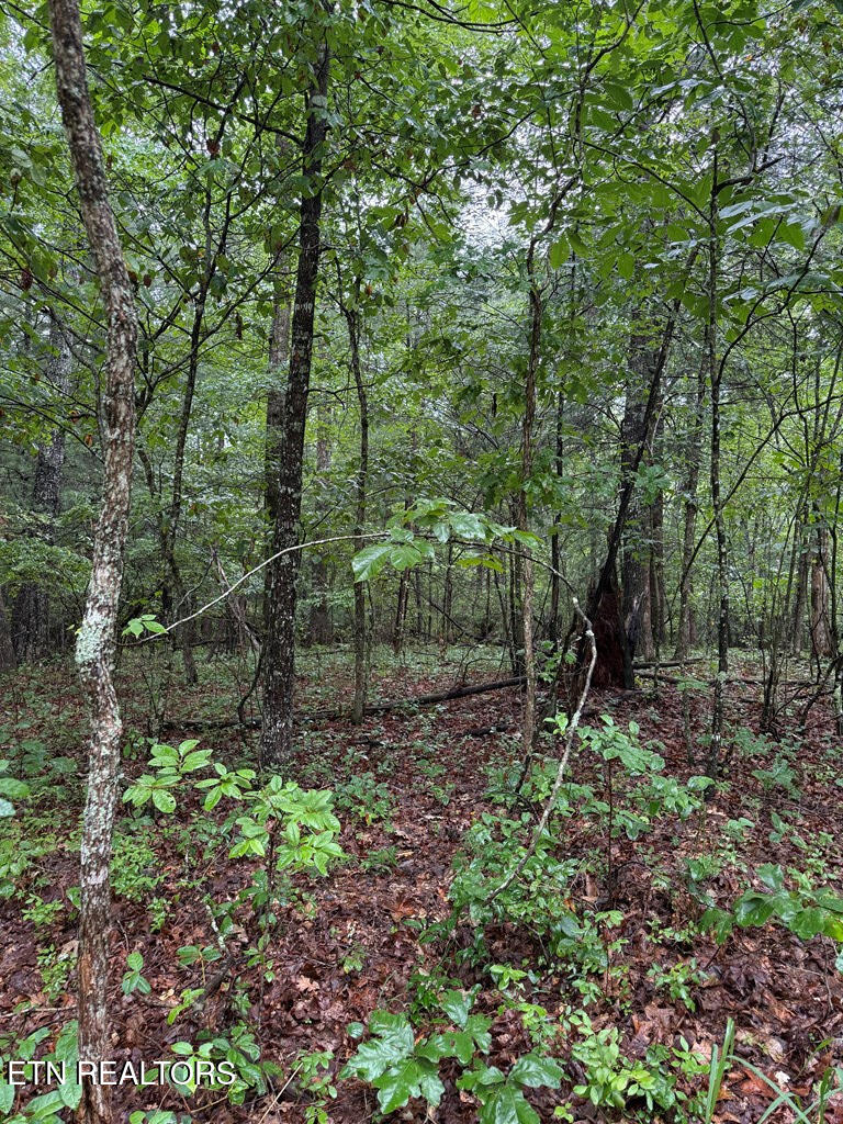 929 Kemah Lane Crossville TN 38572