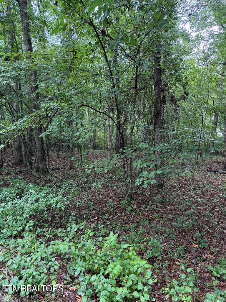 929 Kemah Lane Crossville TN 38572
