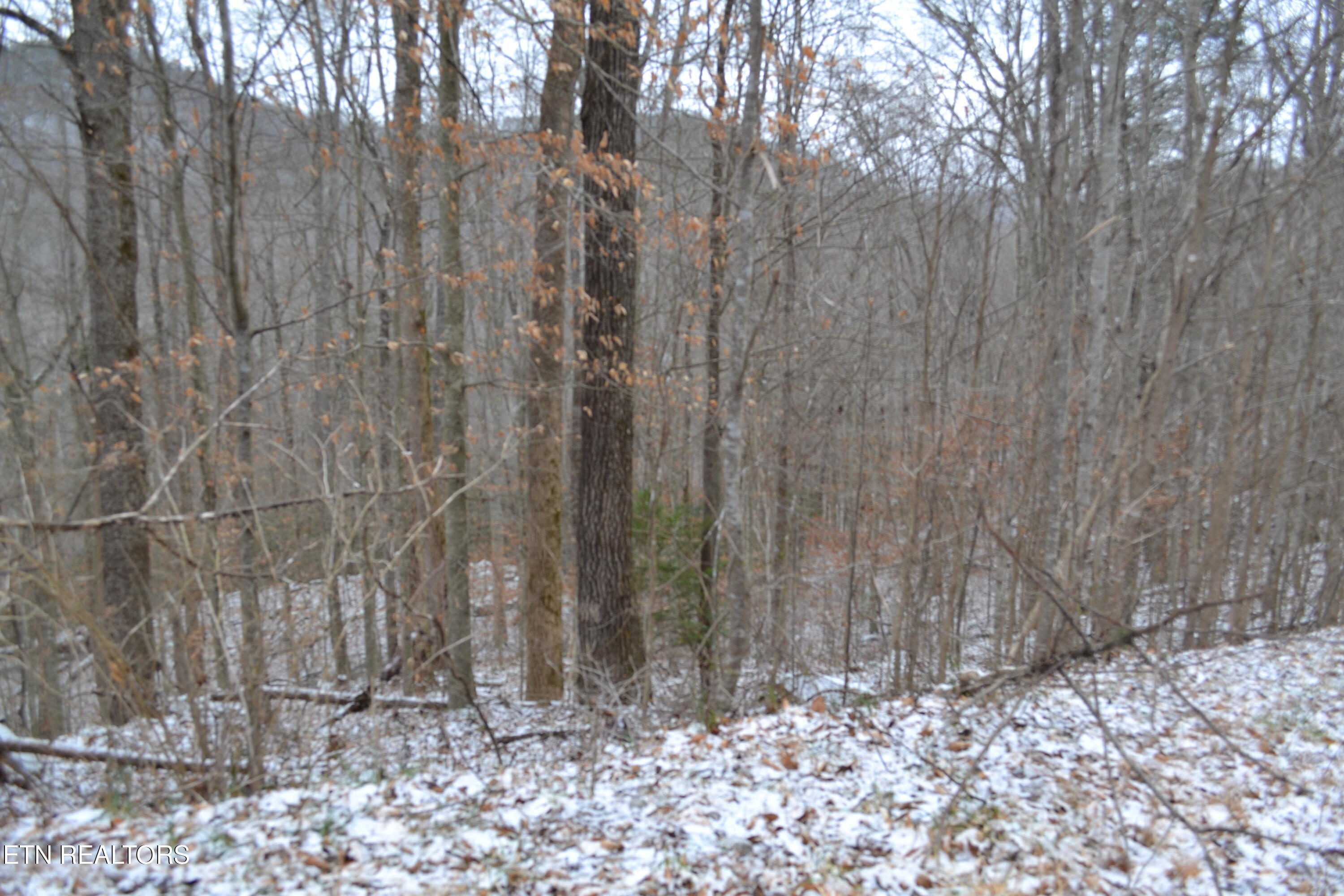 Lot 41 Apache Road Jamestown TN 38556