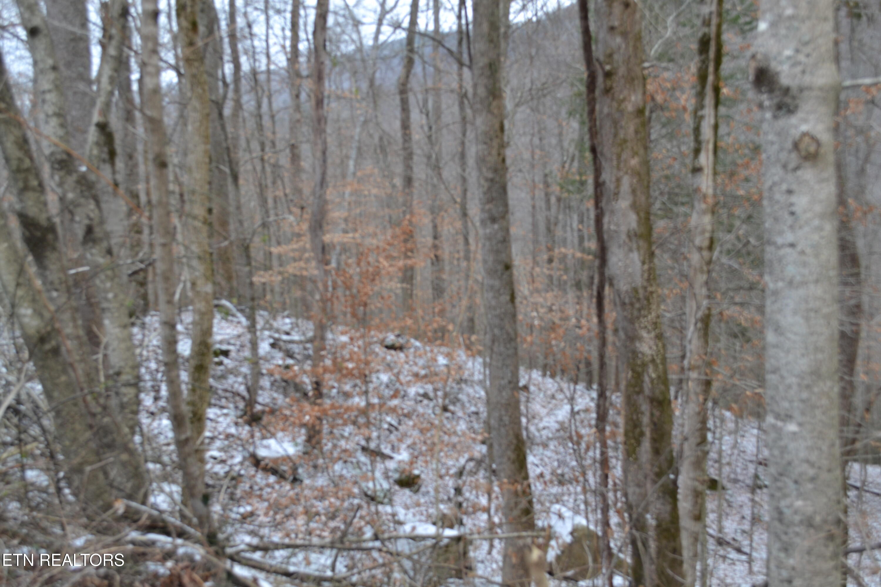 Lot 41 Apache Road Jamestown TN 38556