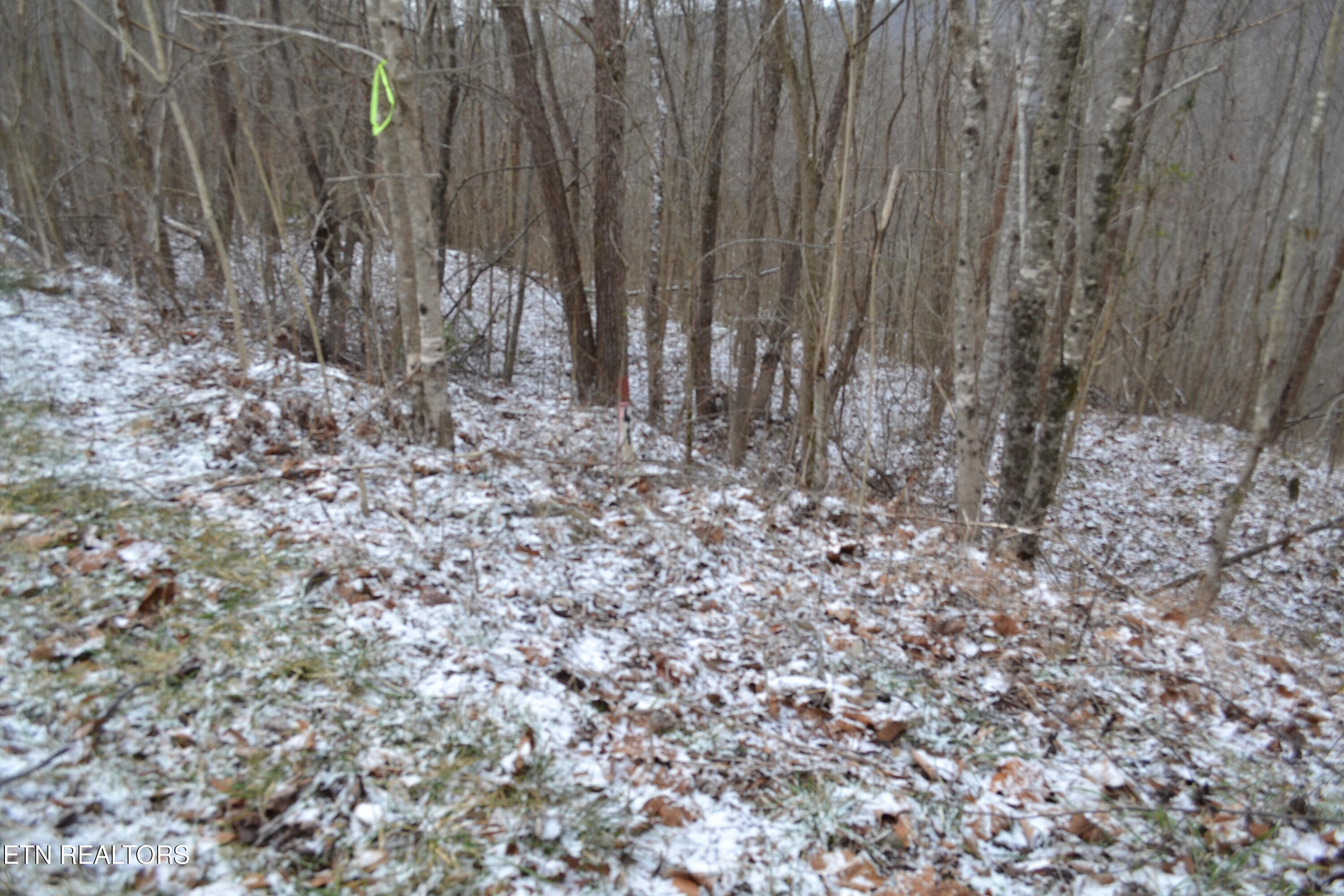 Lot 41 Apache Road Jamestown TN 38556