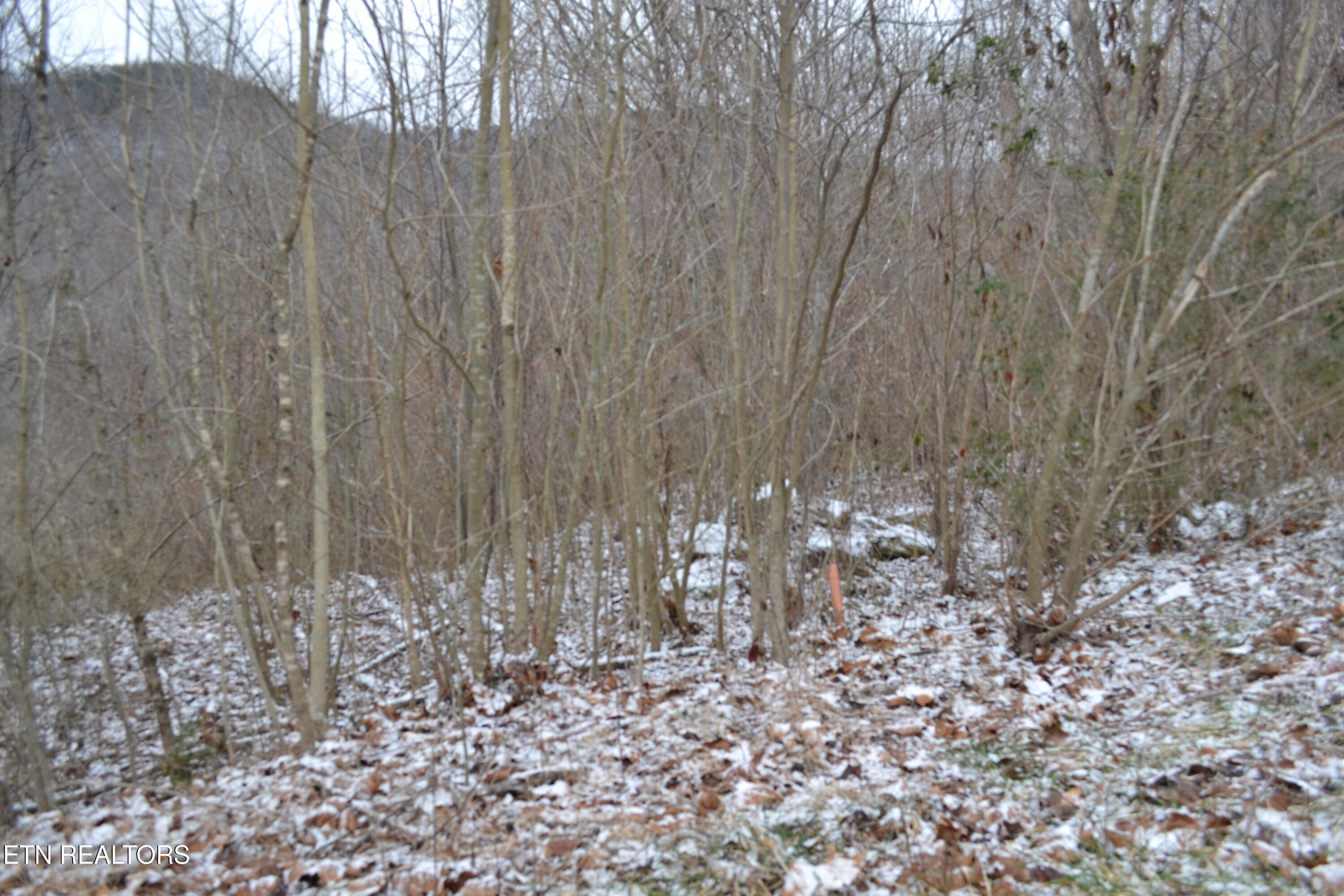 Lot 41 Apache Road Jamestown TN 38556