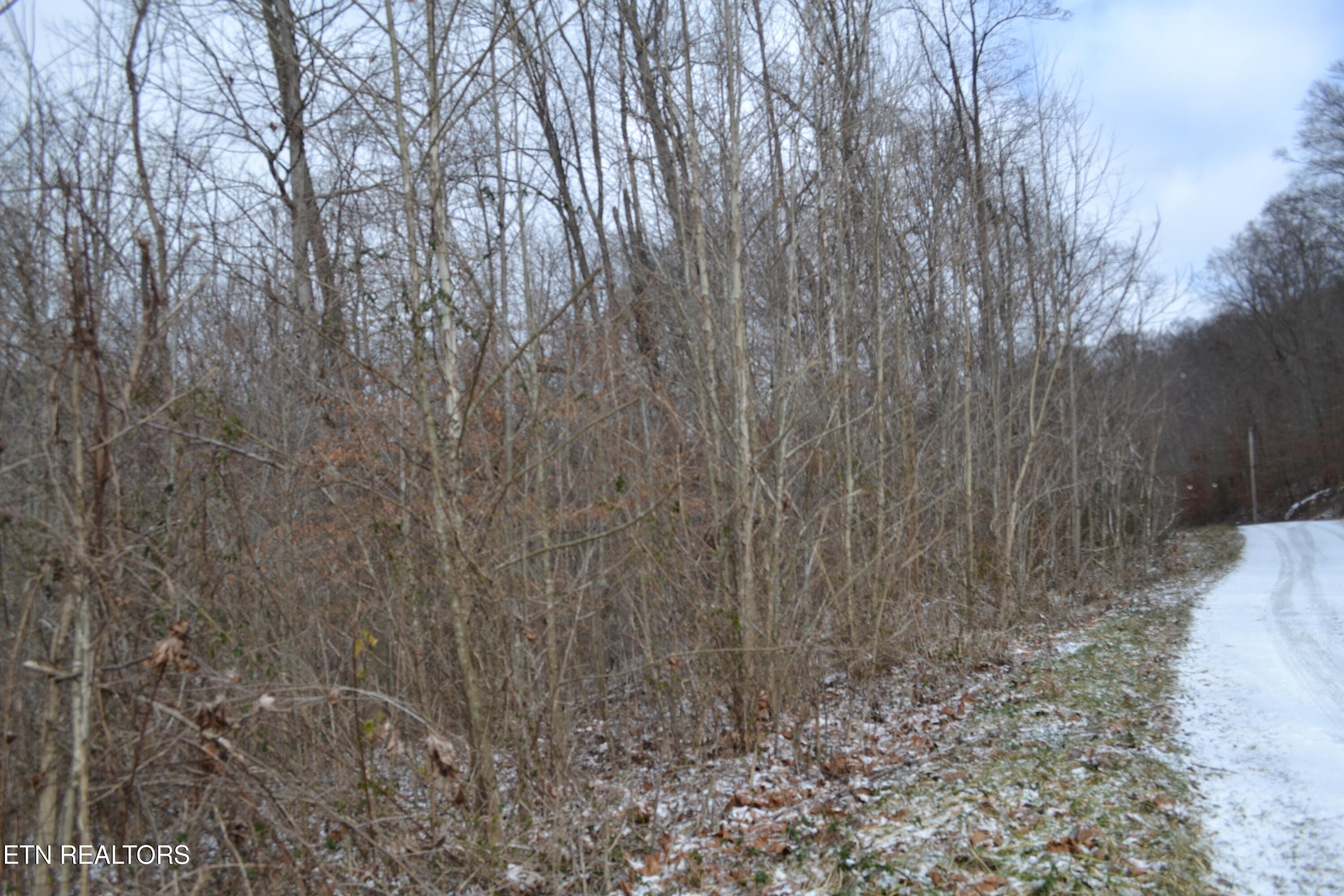 Lot 41 Apache Road Jamestown TN 38556