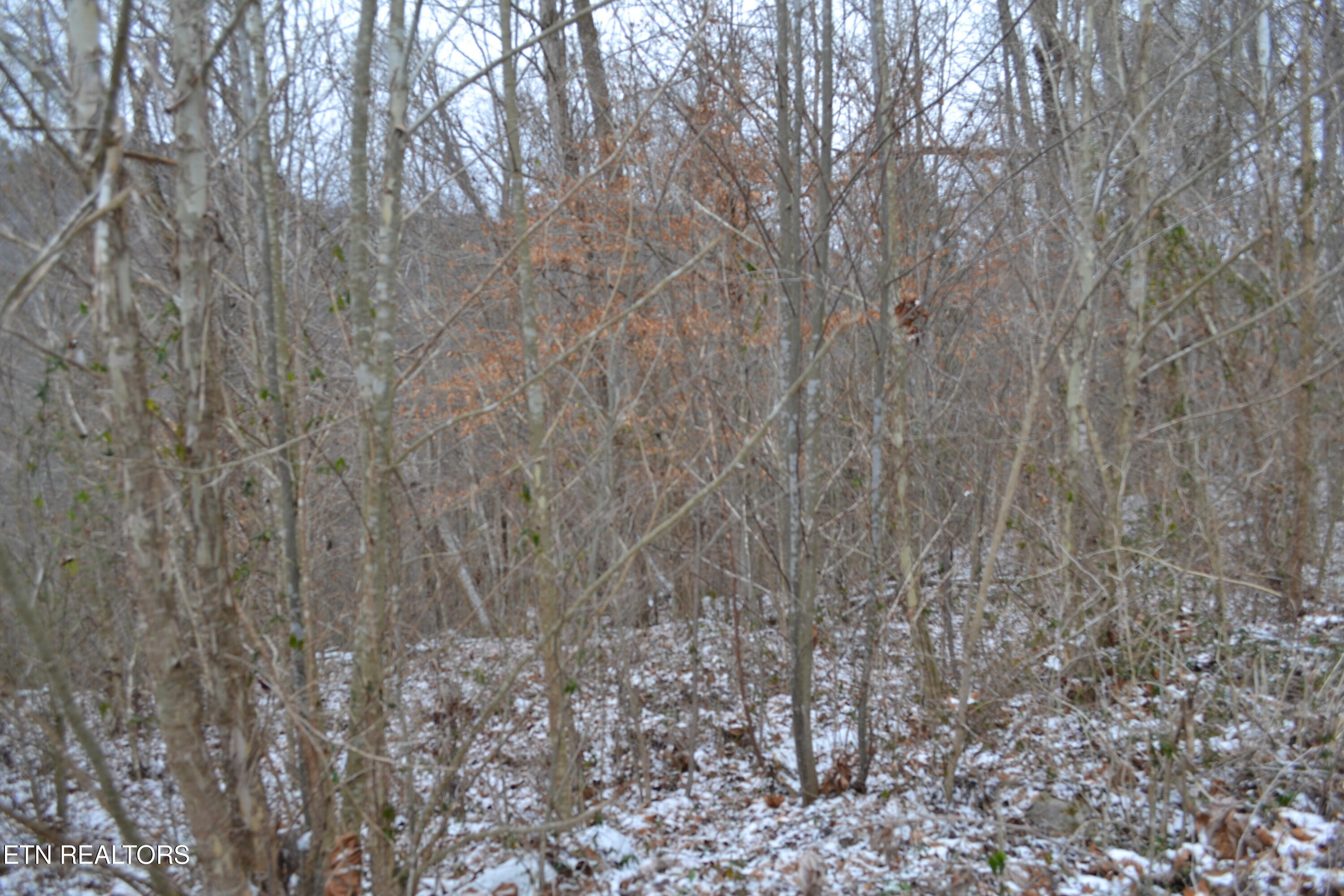 Lot 41 Apache Road Jamestown TN 38556