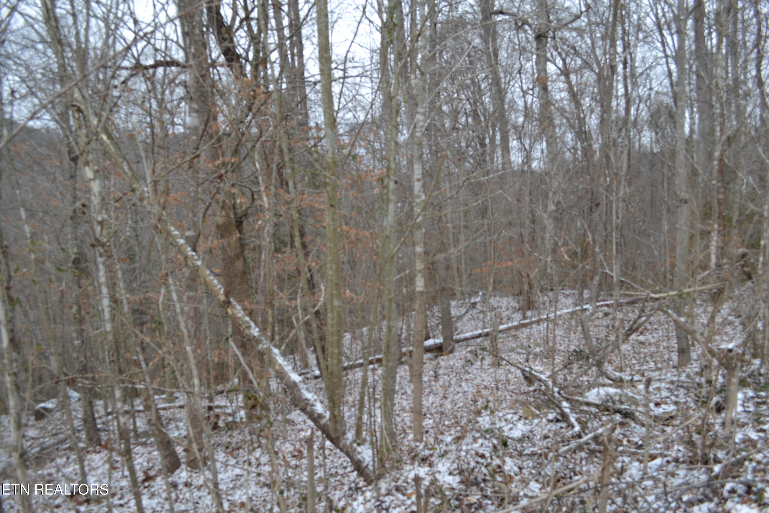 Lot 41 Apache Road Jamestown TN 38556