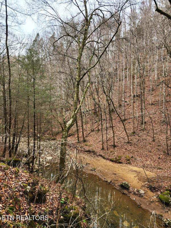 Lot 41 Apache Road Jamestown TN 38556