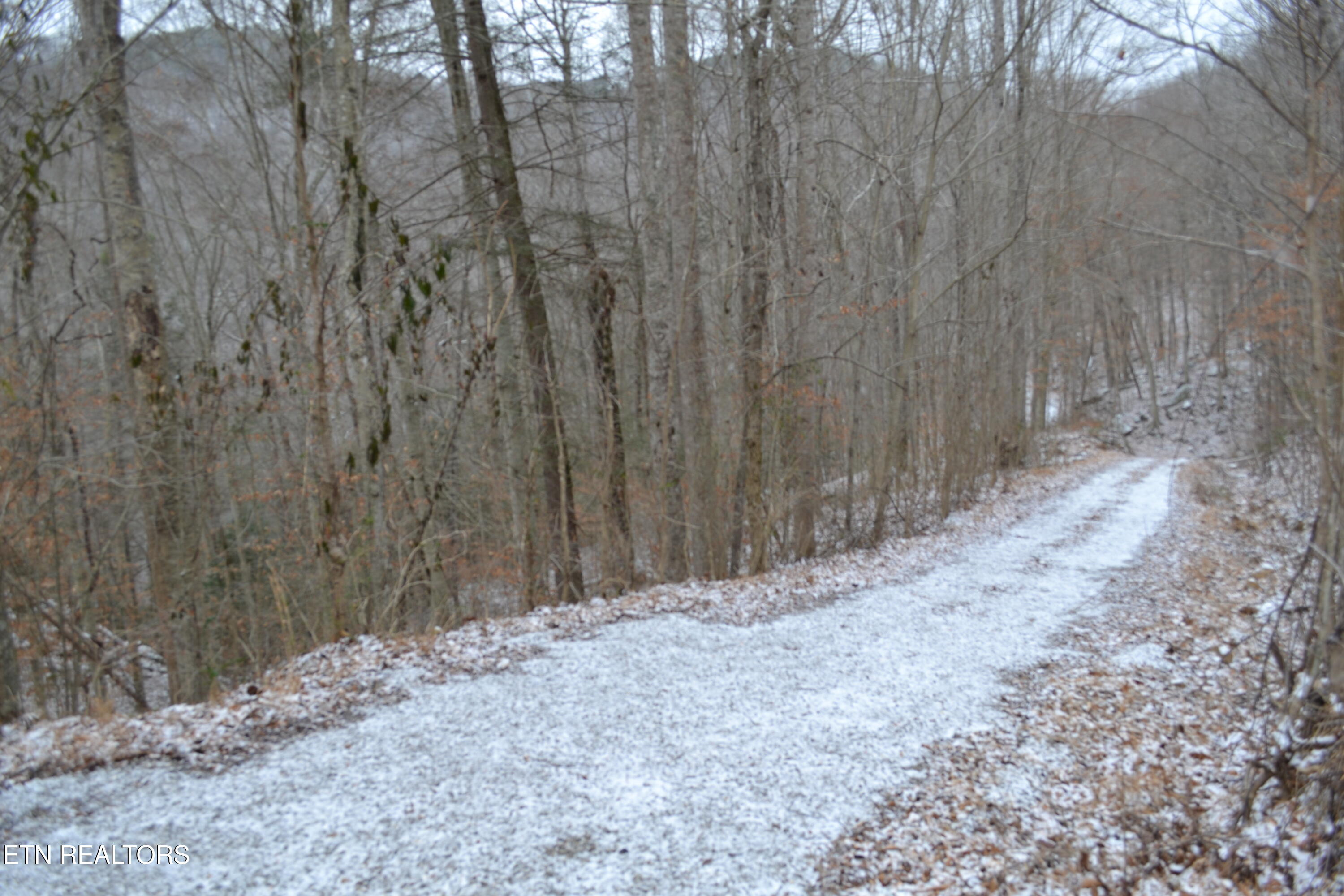 Lot 41 Apache Road Jamestown TN 38556