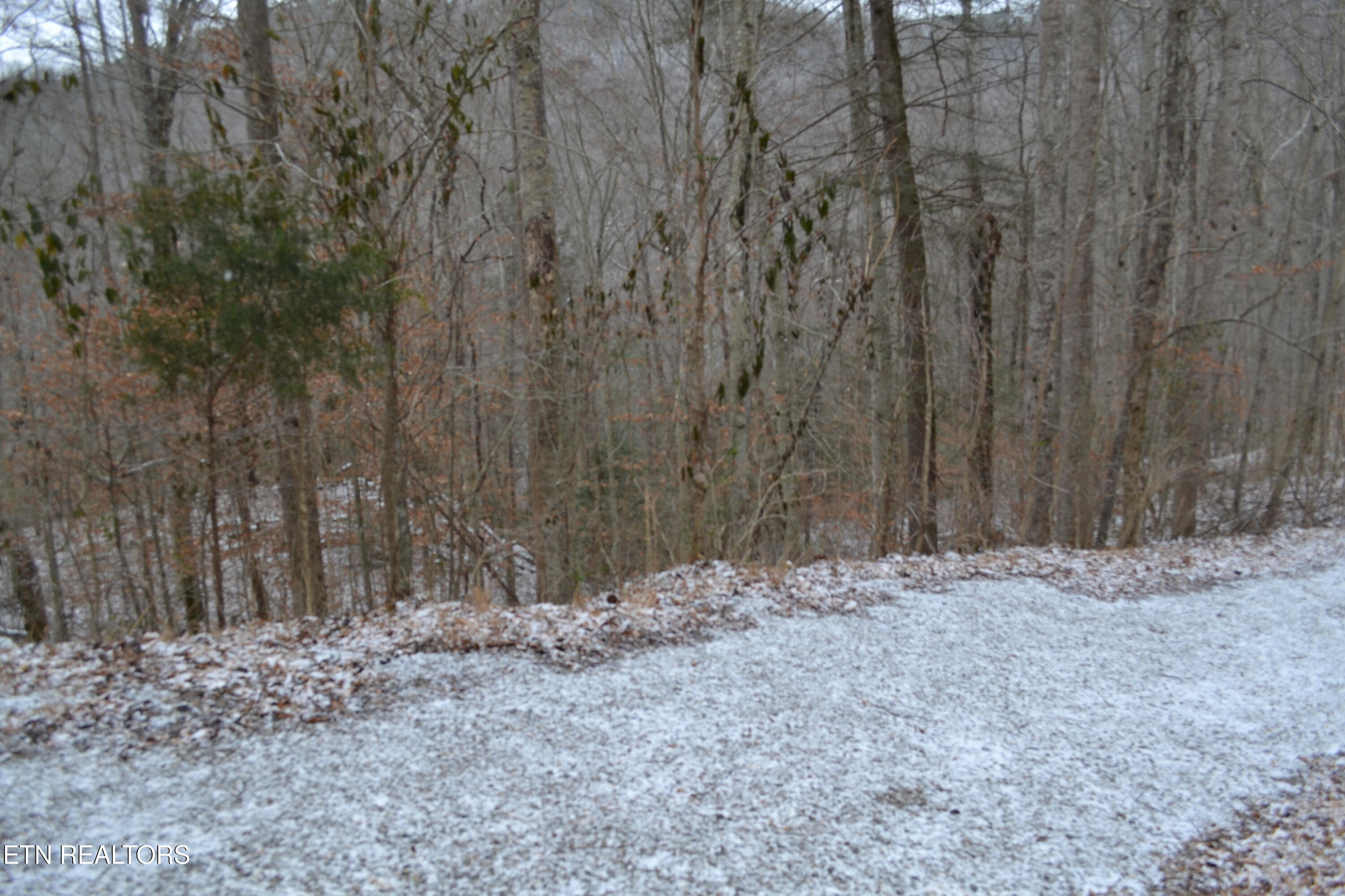 Lot 41 Apache Road Jamestown TN 38556