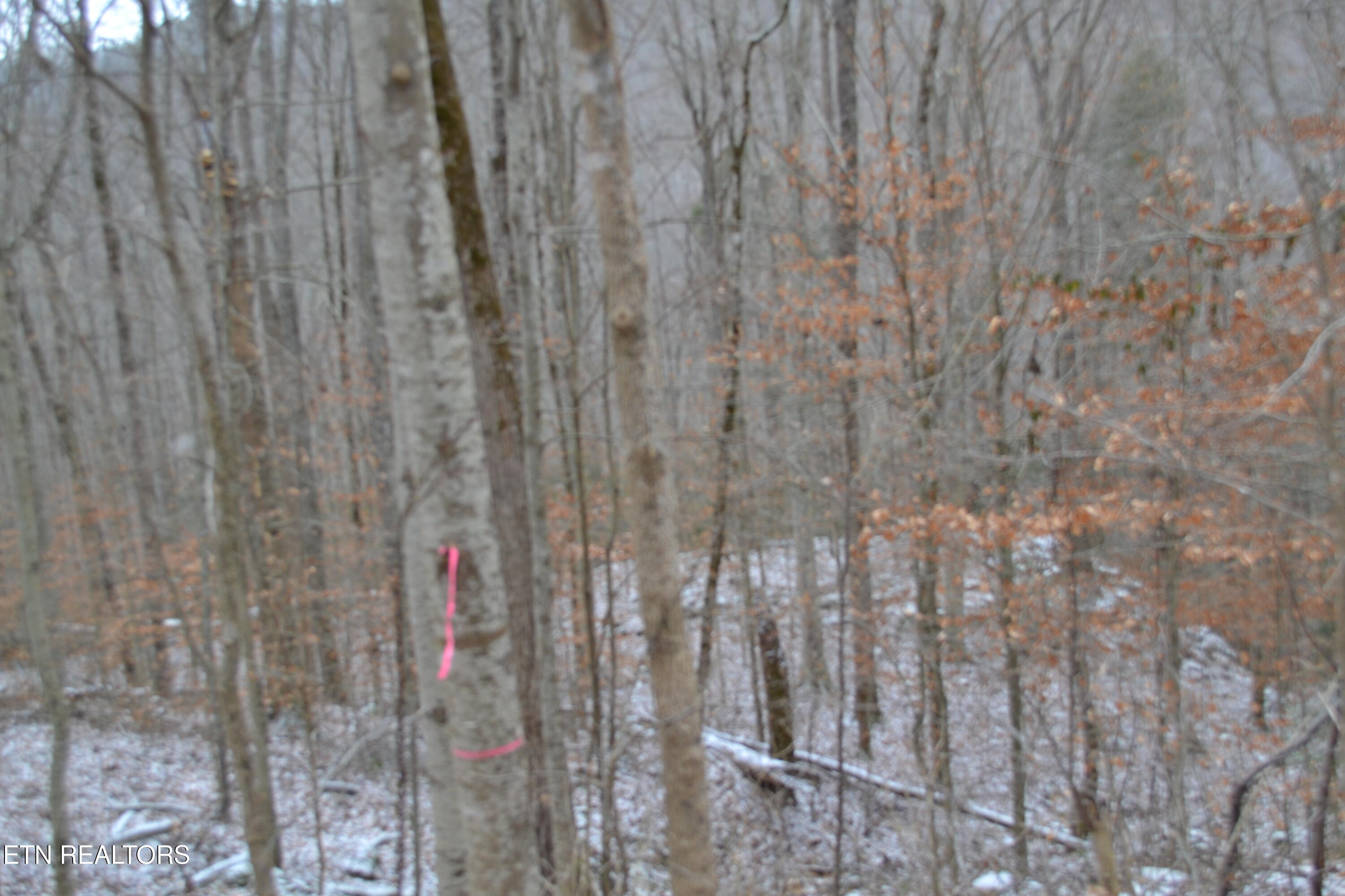 Lot 41 Apache Road Jamestown TN 38556