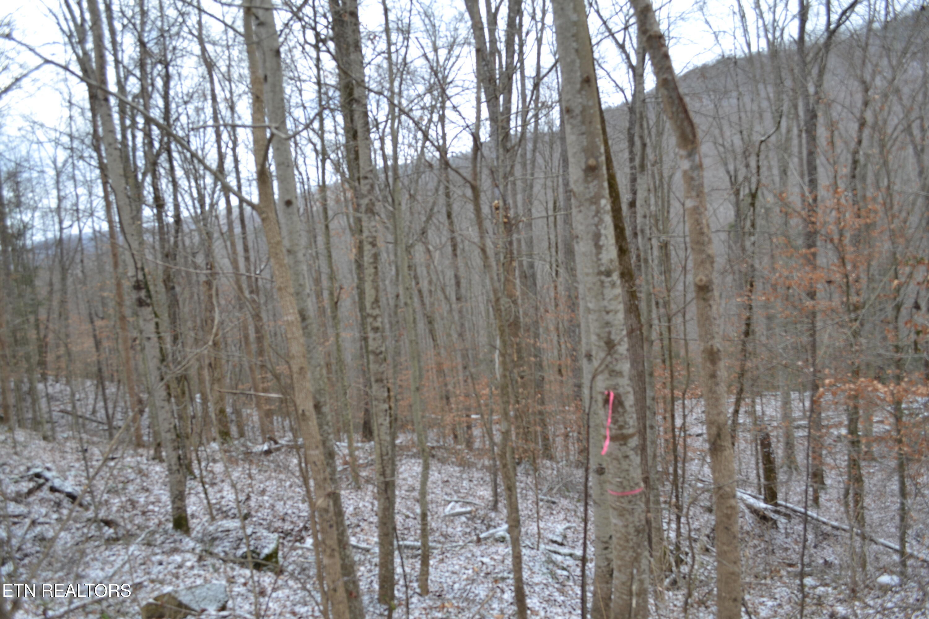 Lot 41 Apache Road Jamestown TN 38556