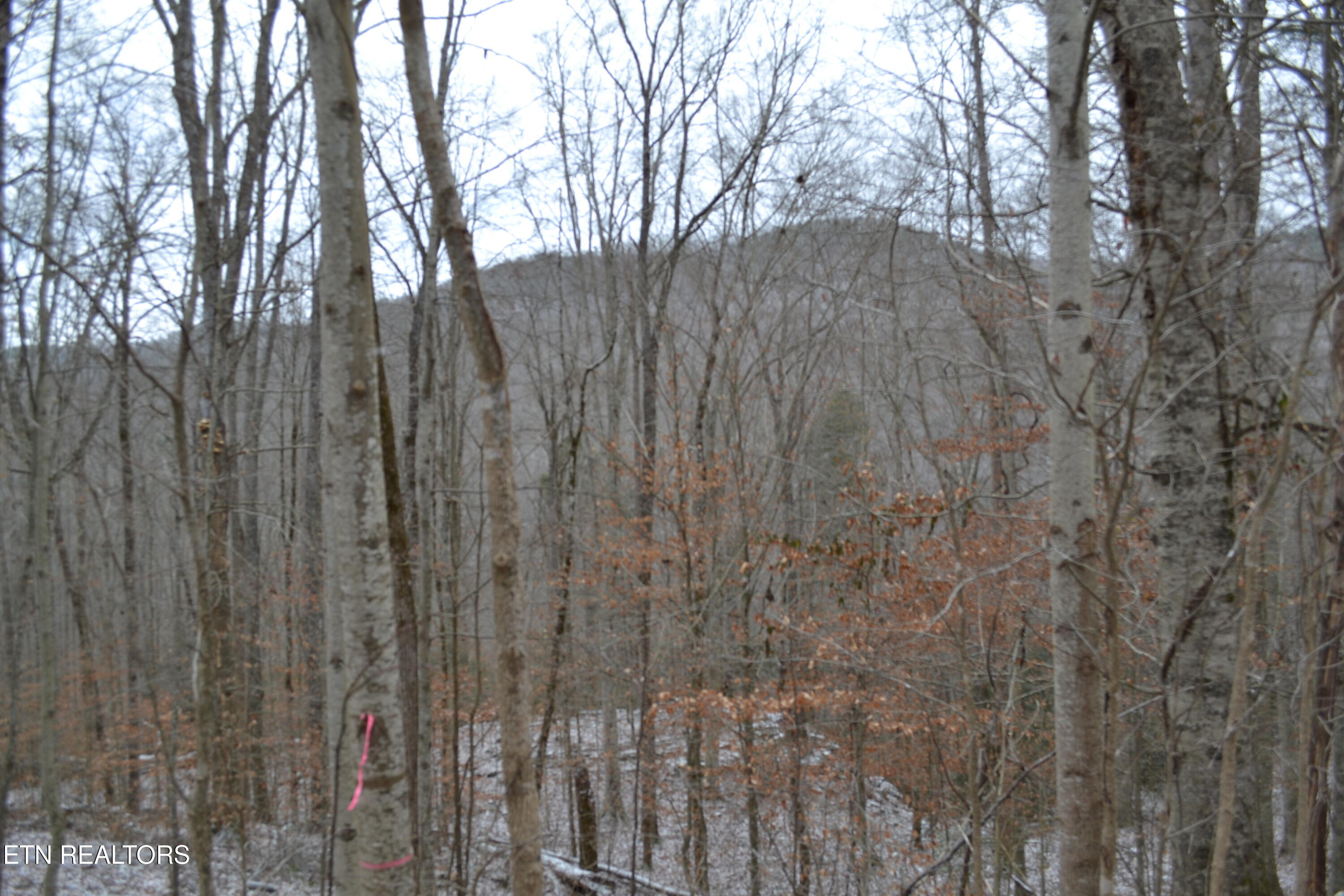 Lot 41 Apache Road Jamestown TN 38556