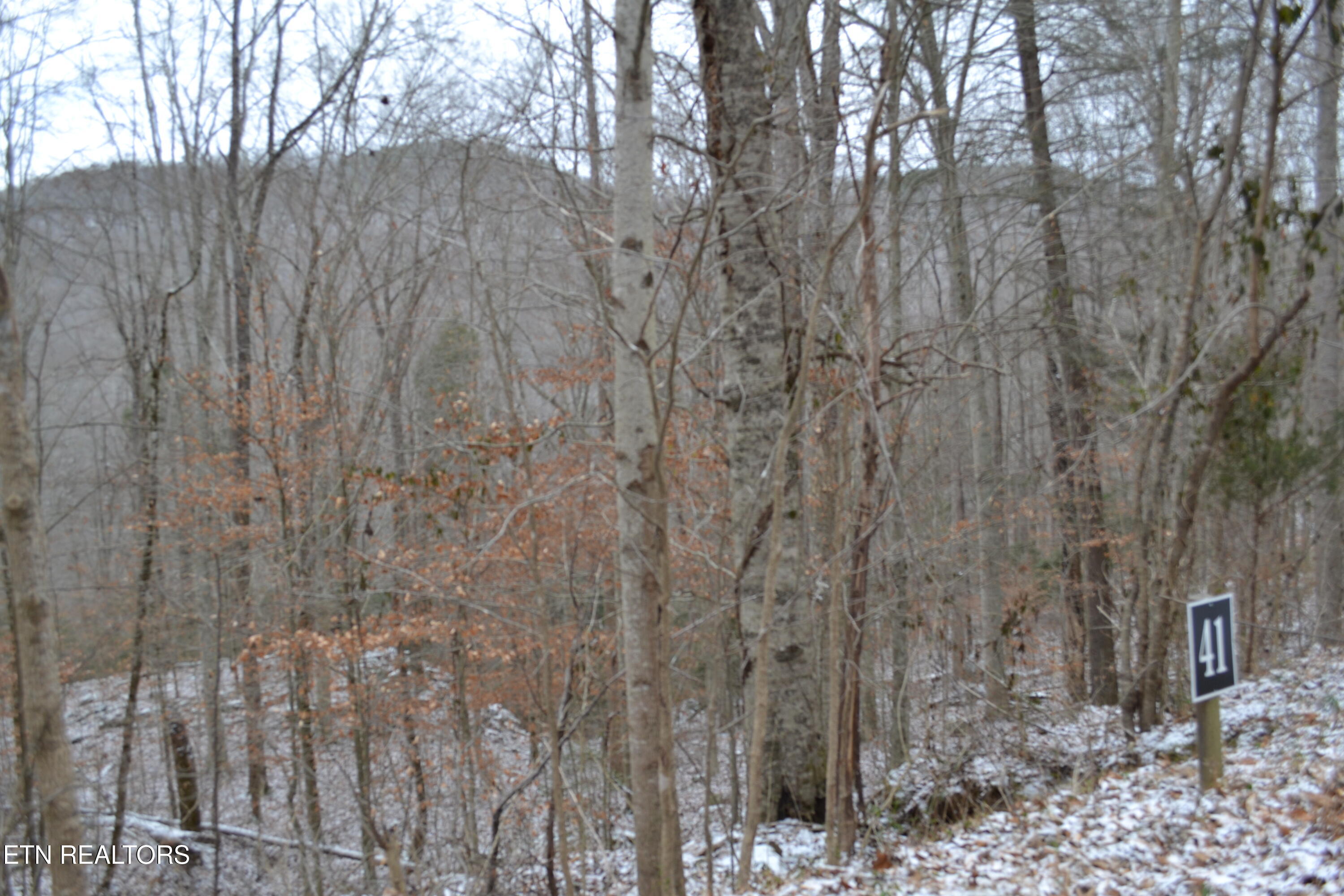 Lot 41 Apache Road Jamestown TN 38556
