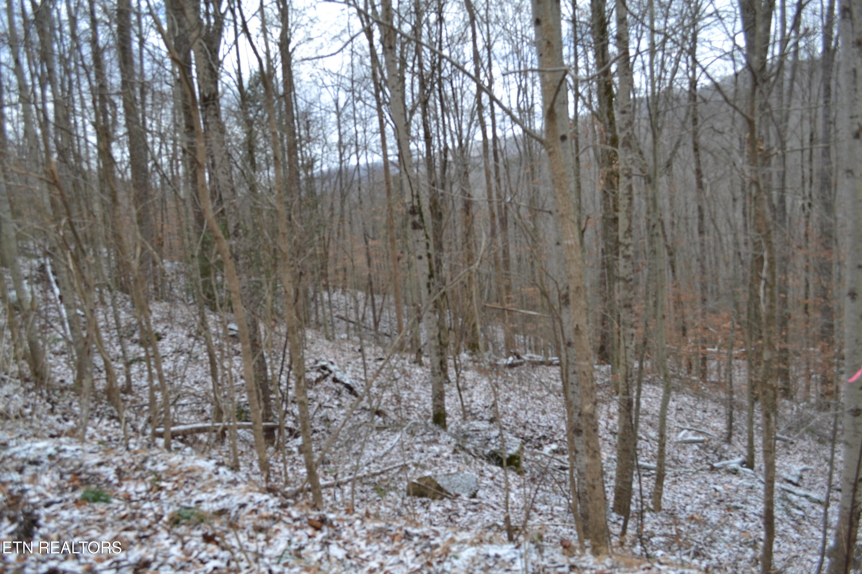Lot 41 Apache Road Jamestown TN 38556