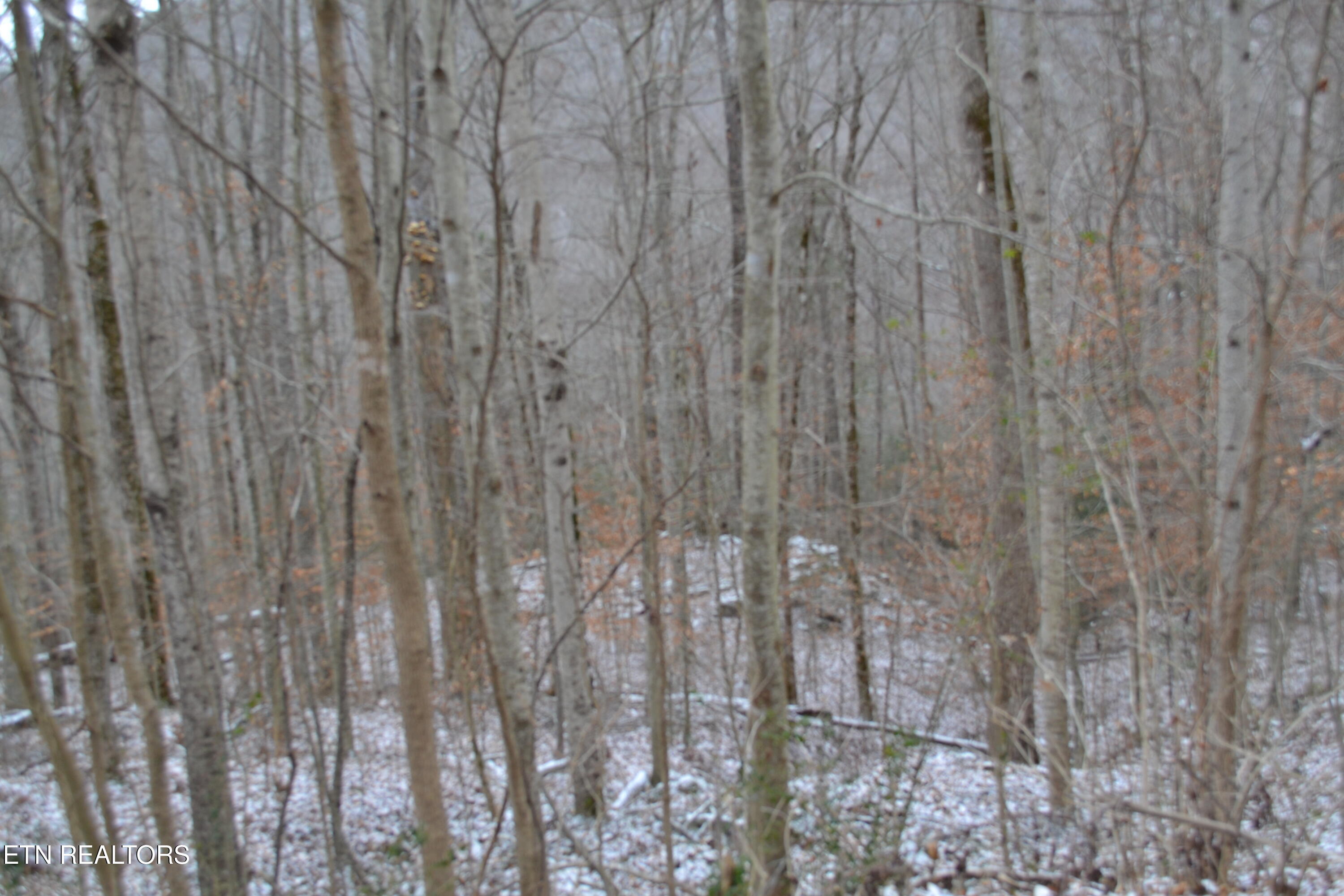 Lot 41 Apache Road Jamestown TN 38556