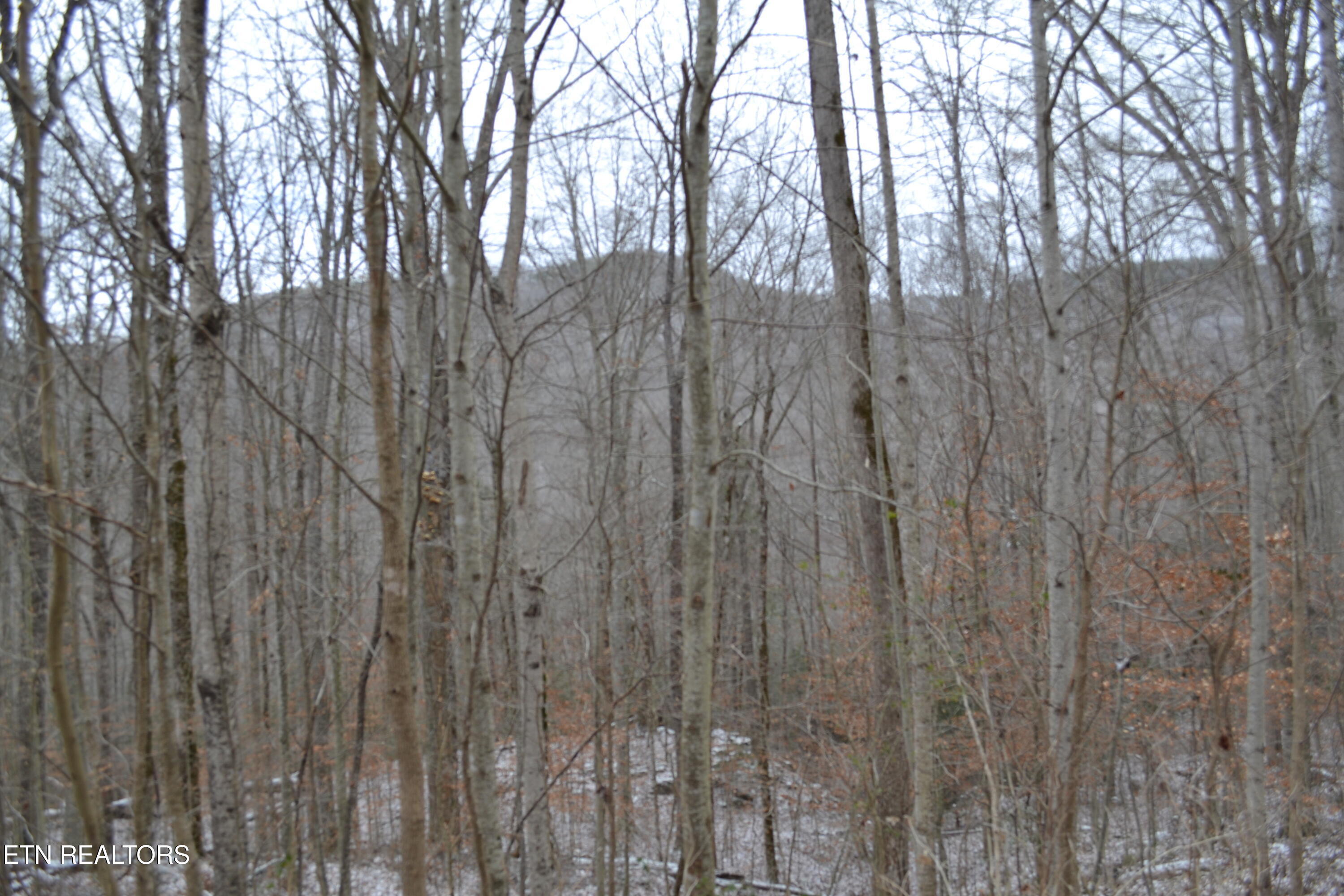 Lot 41 Apache Road Jamestown TN 38556