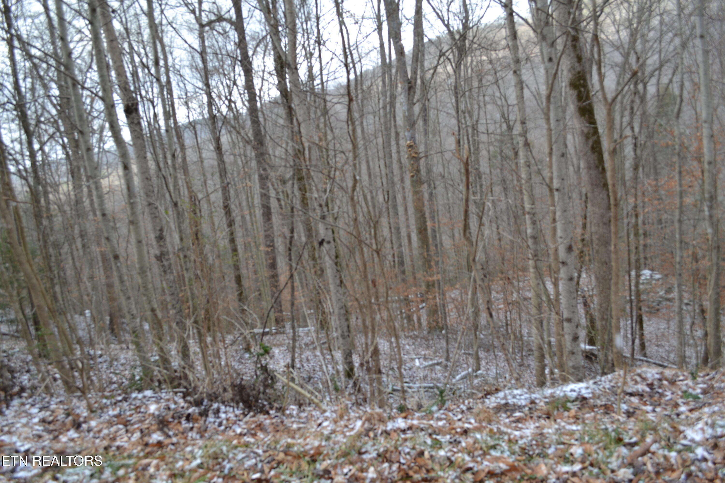 Lot 41 Apache Road Jamestown TN 38556