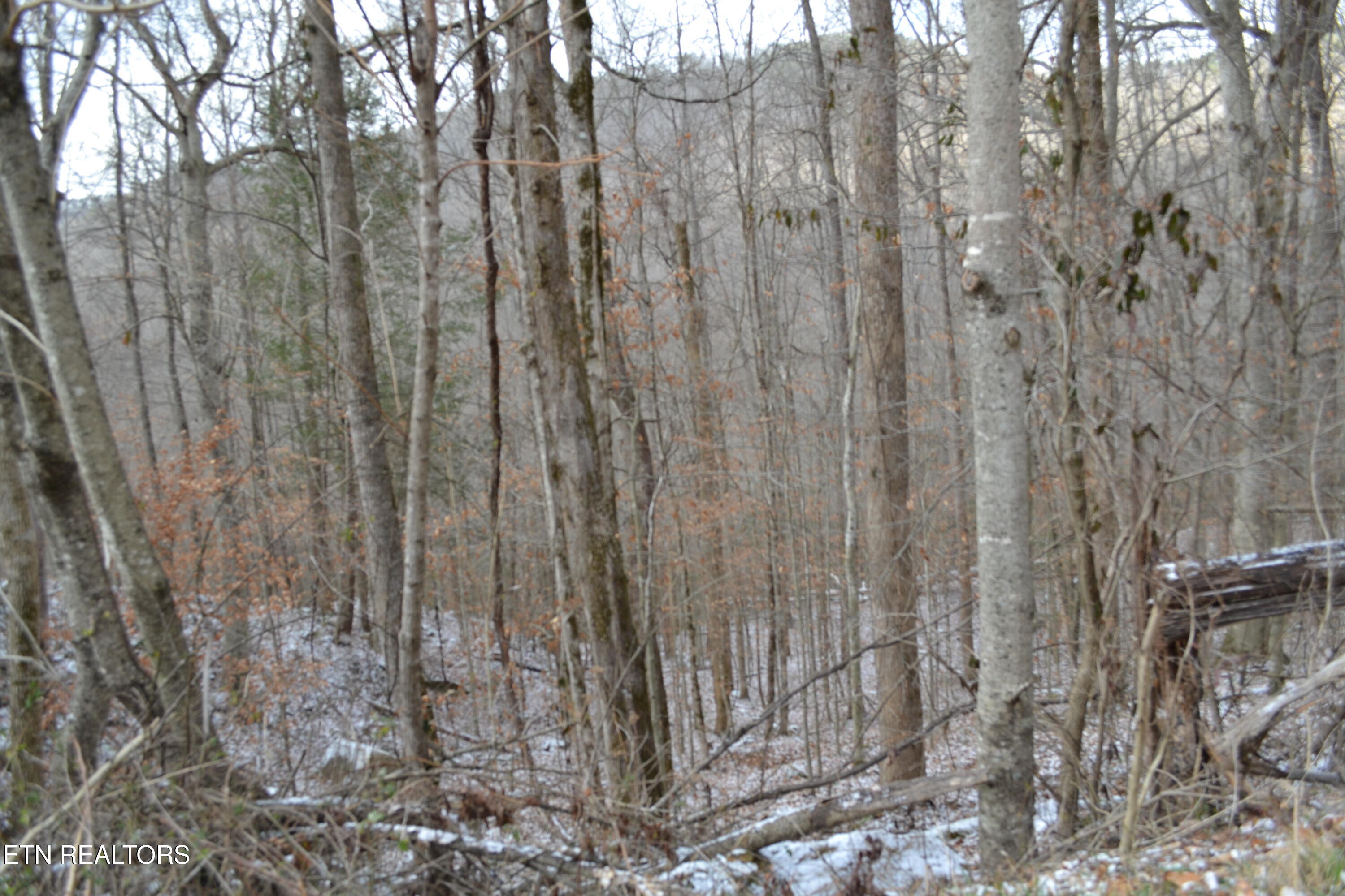 Lot 41 Apache Road Jamestown TN 38556