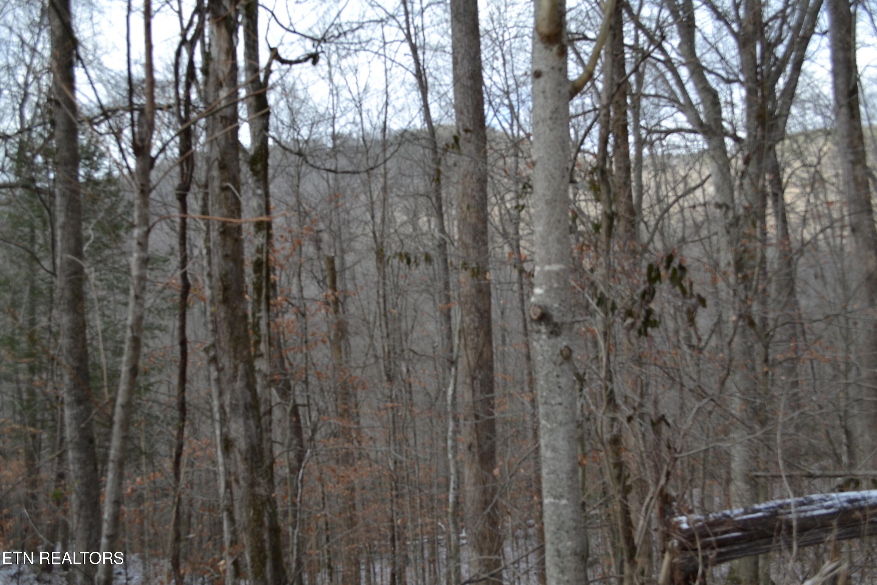 Lot 41 Apache Road Jamestown TN 38556