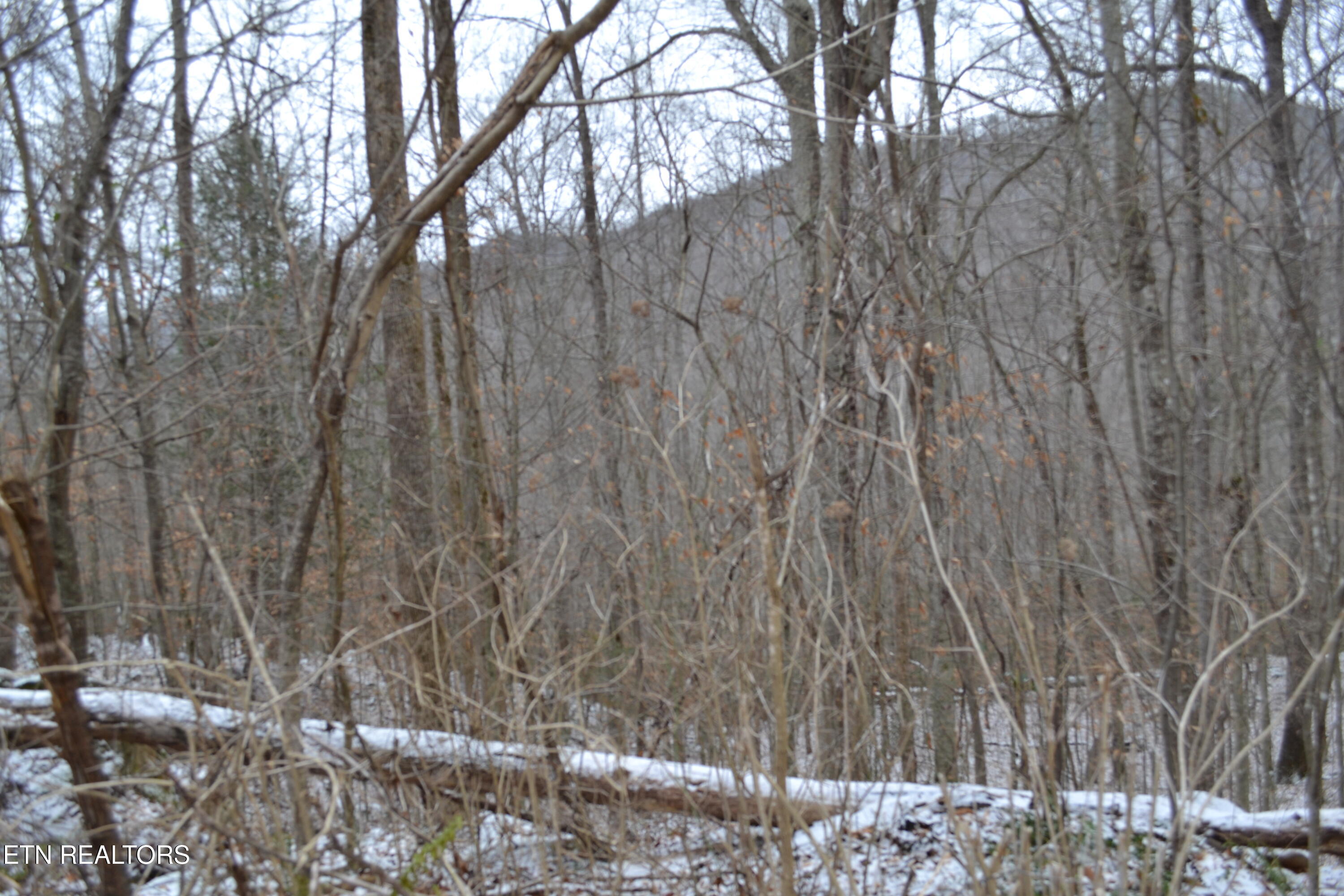 Lot 41 Apache Road Jamestown TN 38556