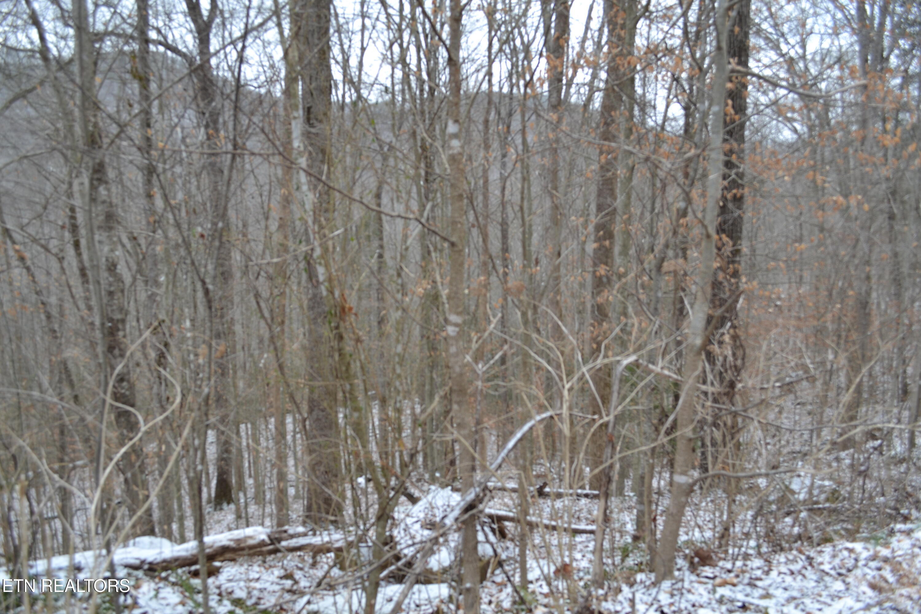 Lot 41 Apache Road Jamestown TN 38556