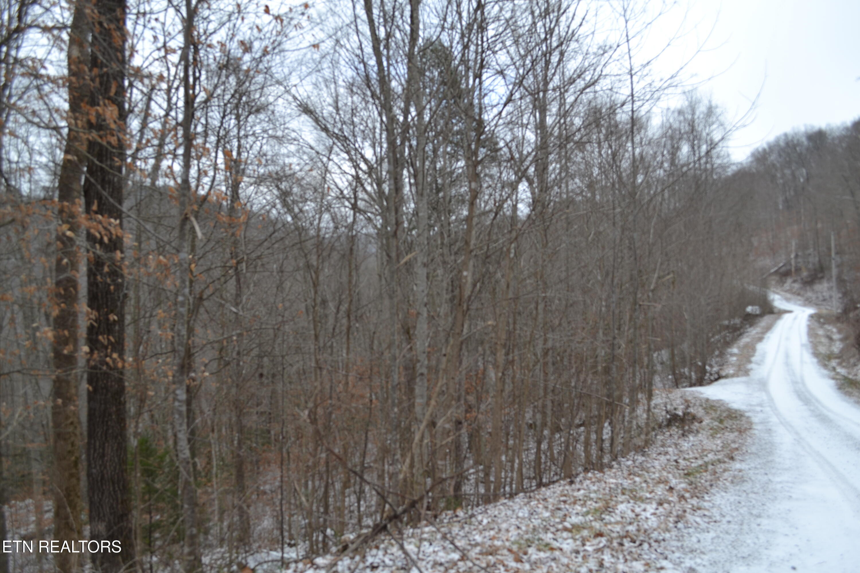 Lot 41 Apache Road Jamestown TN 38556