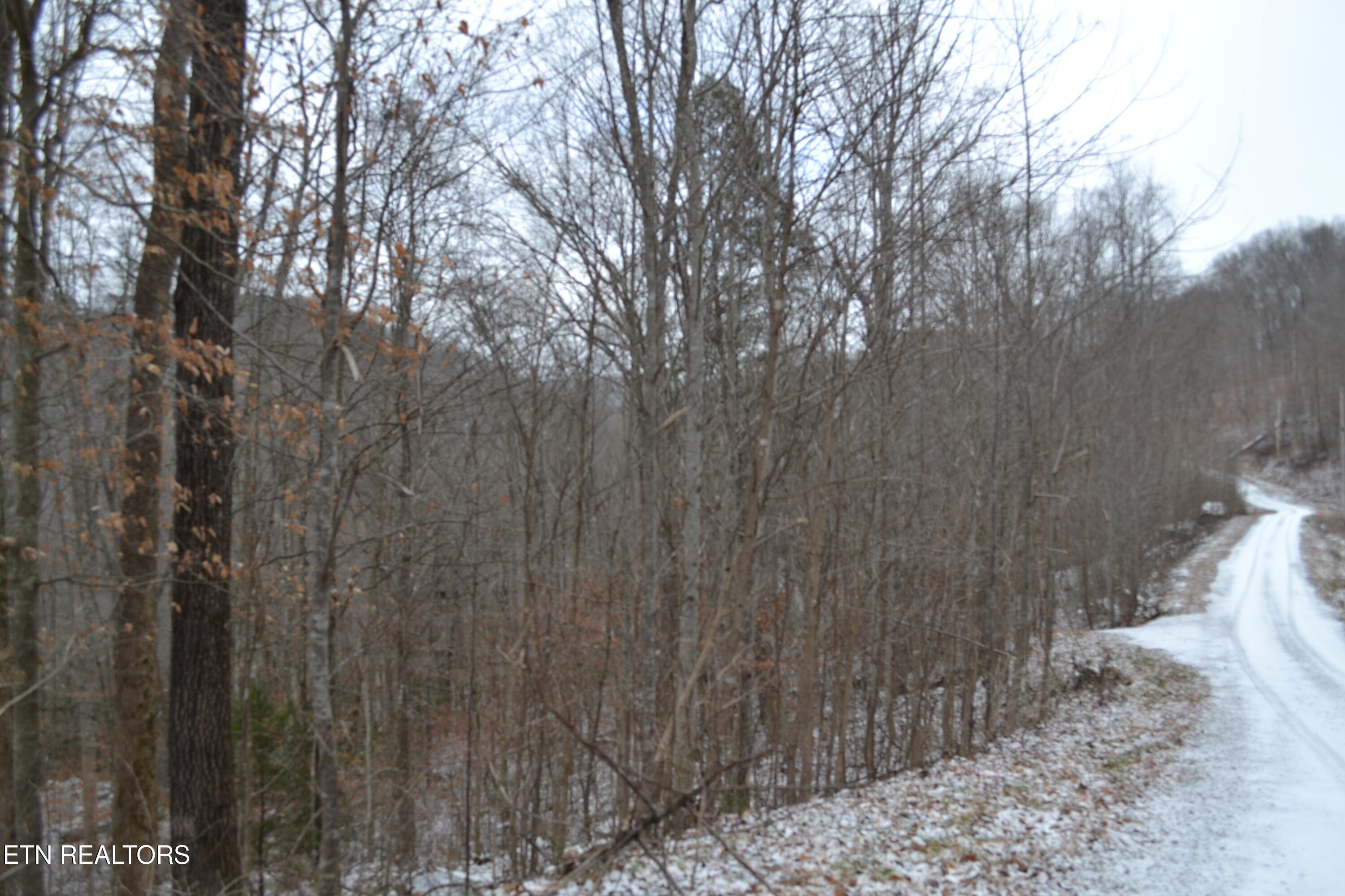 Lot 41 Apache Road Jamestown TN 38556