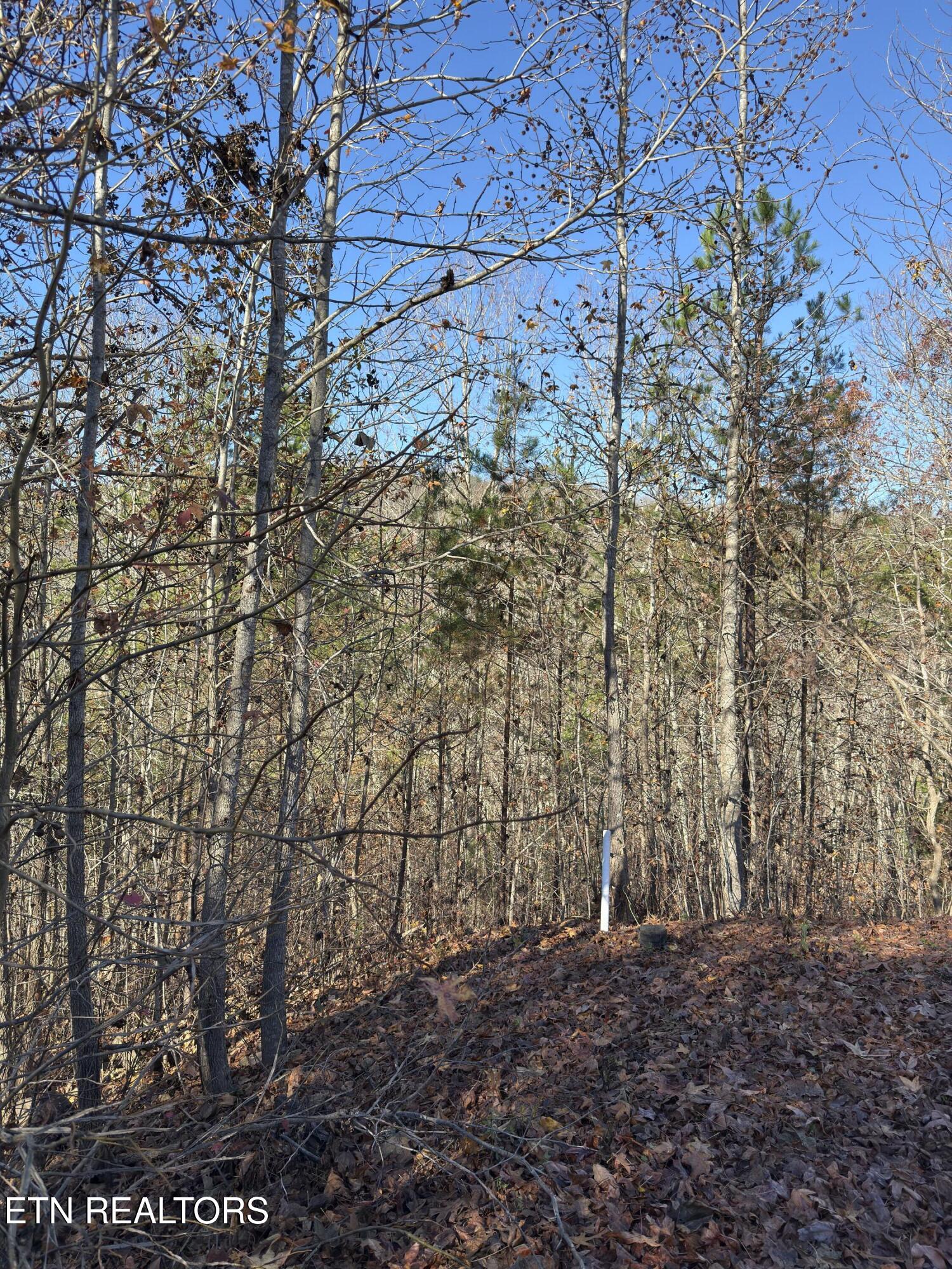 527 Enclave Way Kingston TN 37763