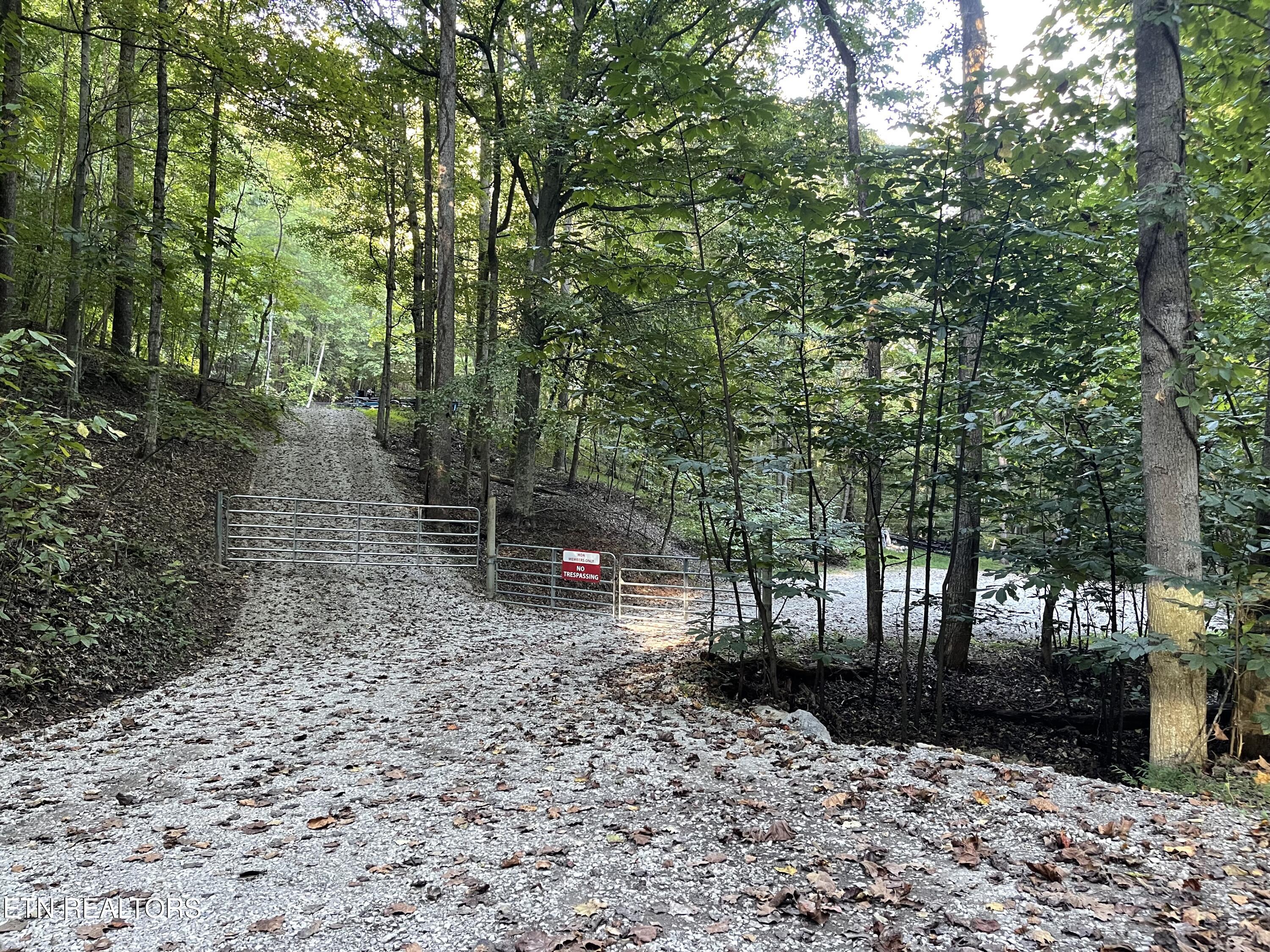 63 Cove Norris Road Caryville TN 37714