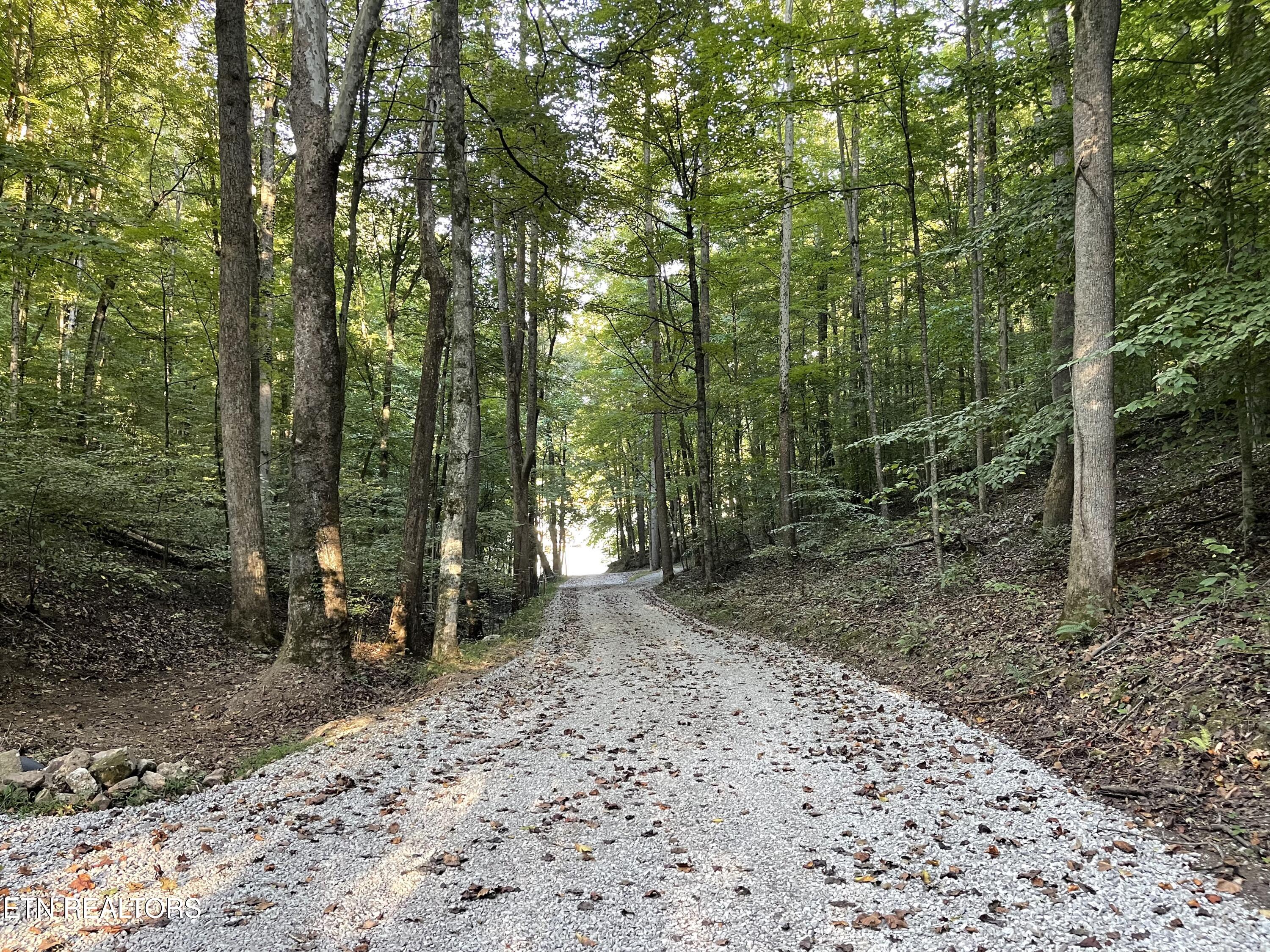 63 Cove Norris Road Caryville TN 37714