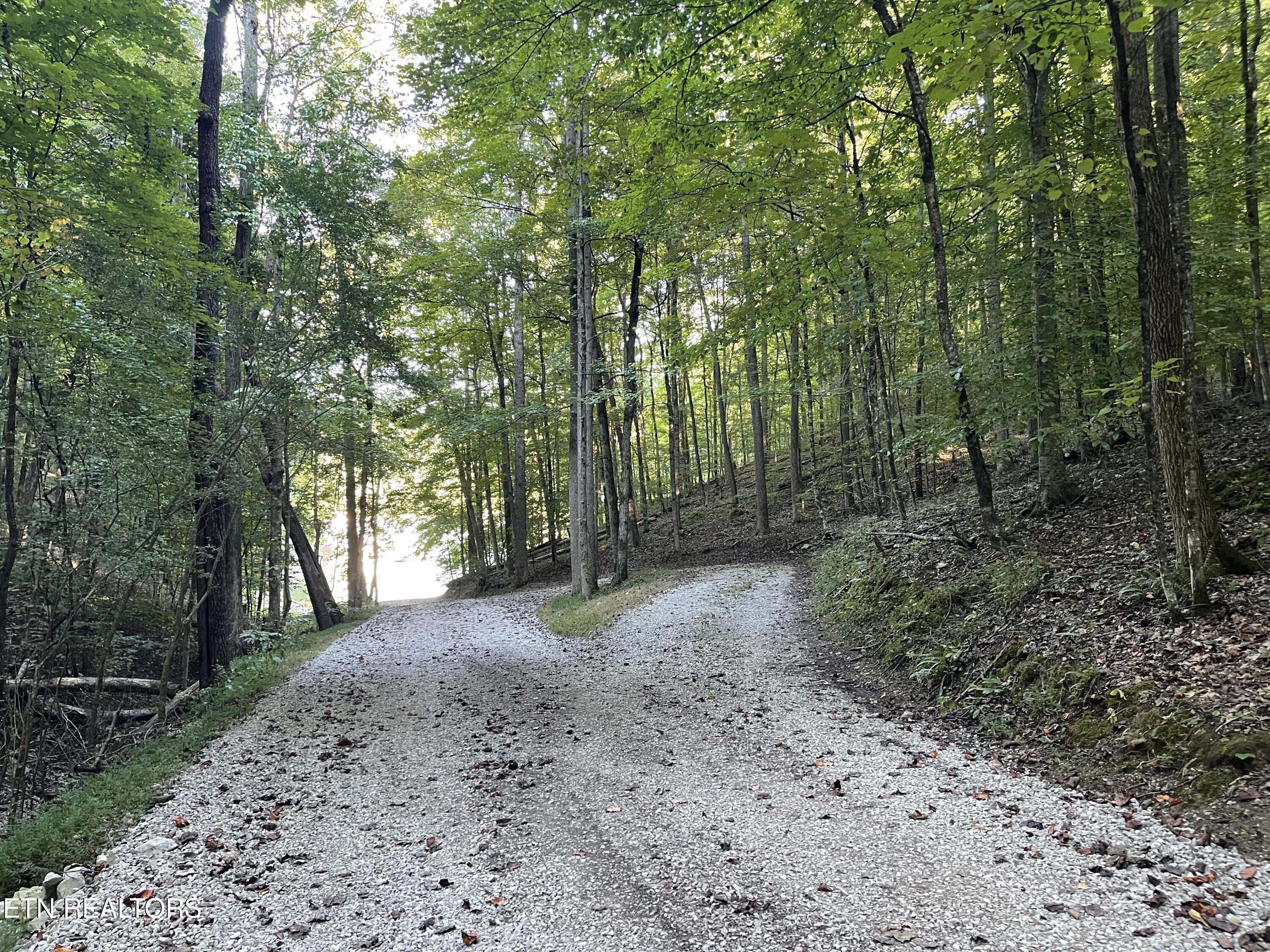 63 Cove Norris Road Caryville TN 37714