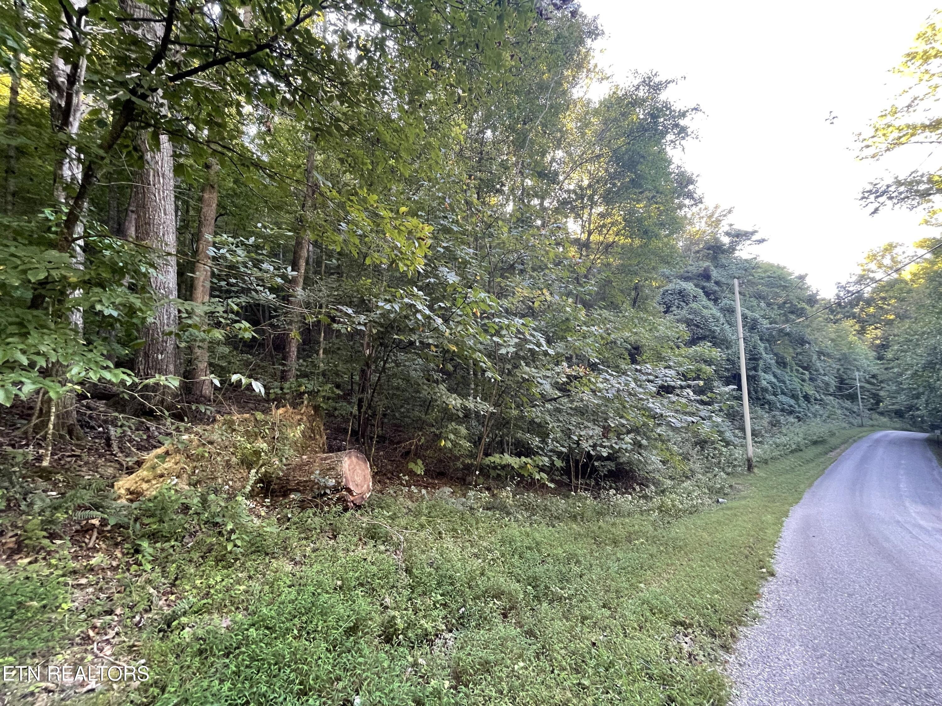 63 Cove Norris Road Caryville TN 37714