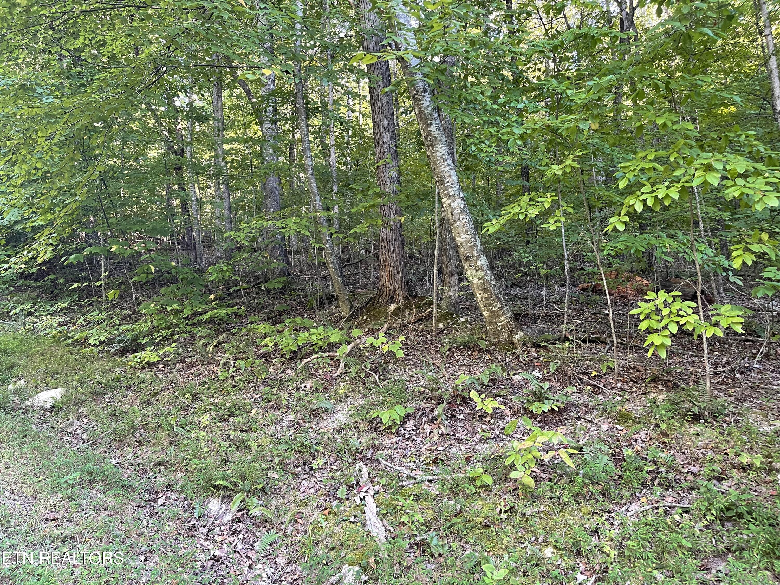 63 Cove Norris Road Caryville TN 37714