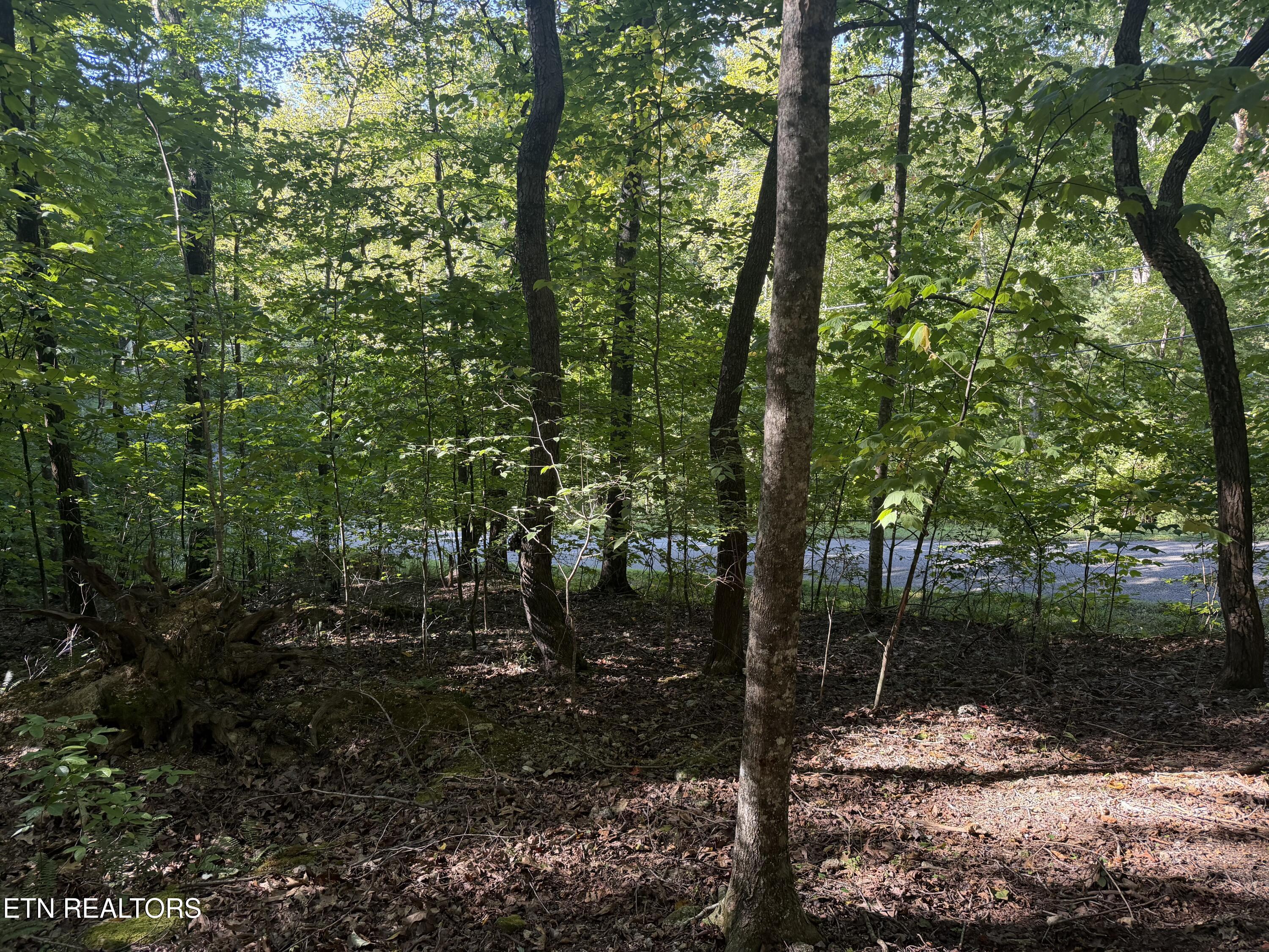 63 Cove Norris Road Caryville TN 37714